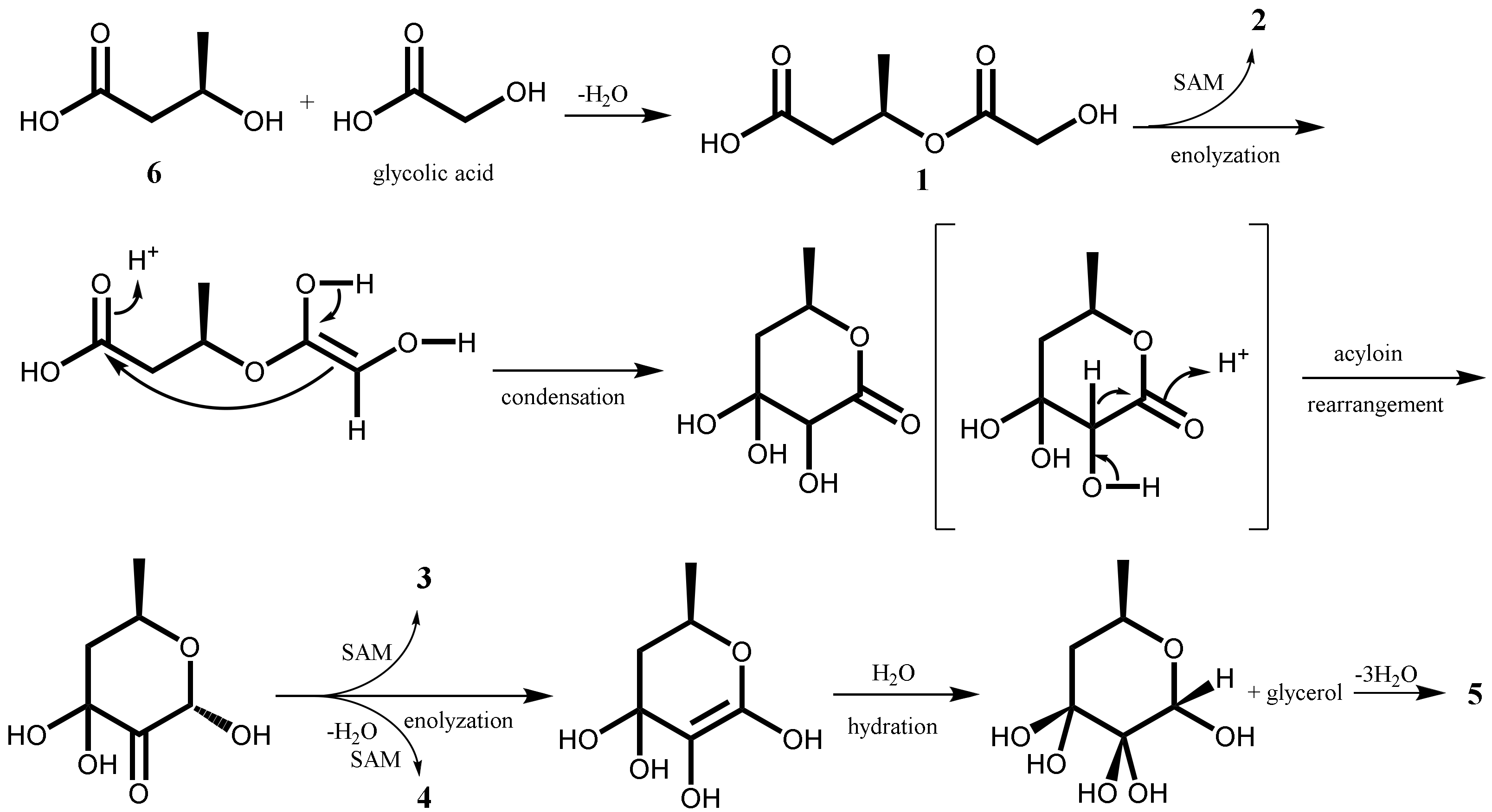 Molecules 27 08940 sch001 Molecules 27 08940 sch001