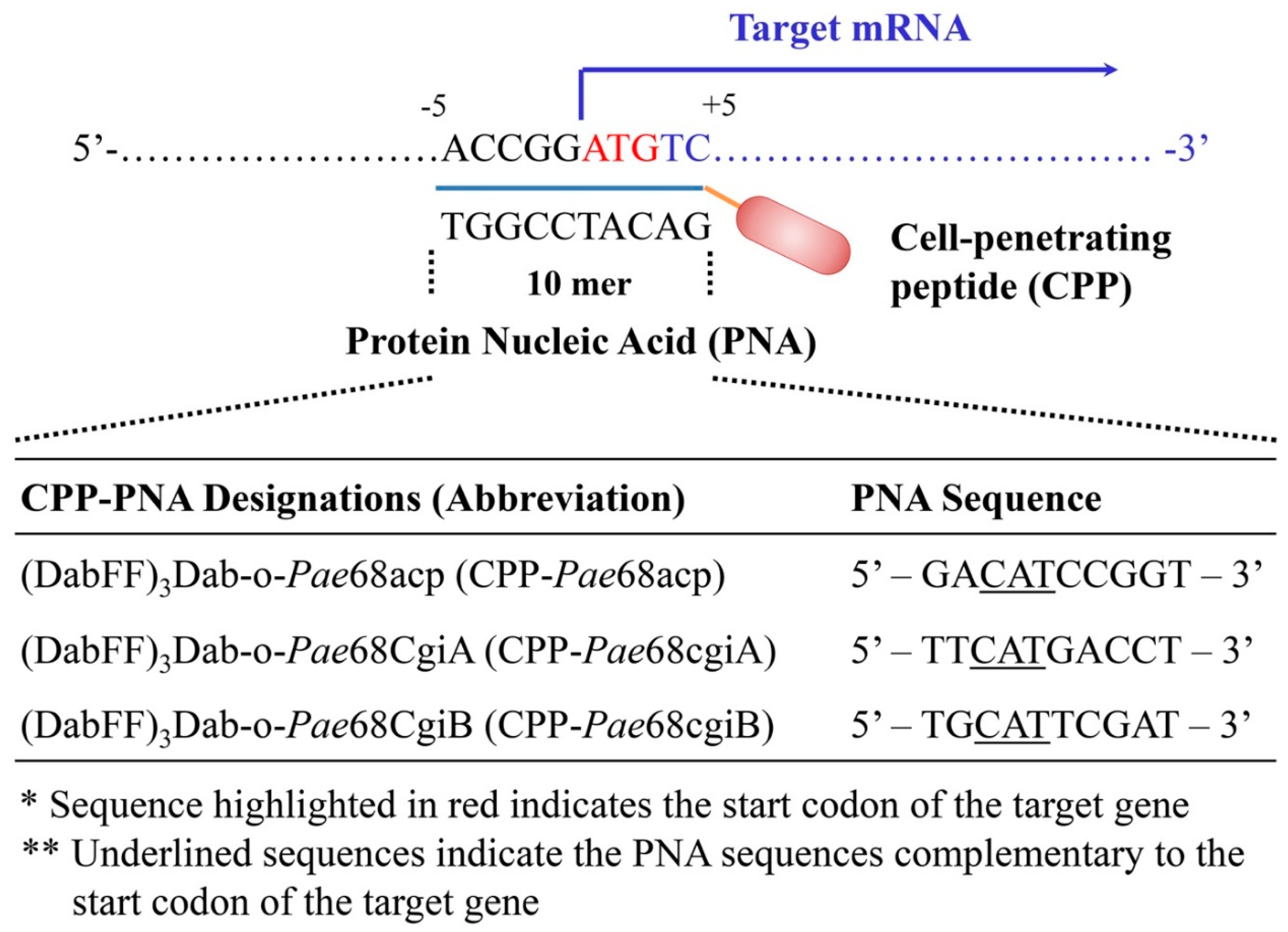 Molecules 27 08944 g001