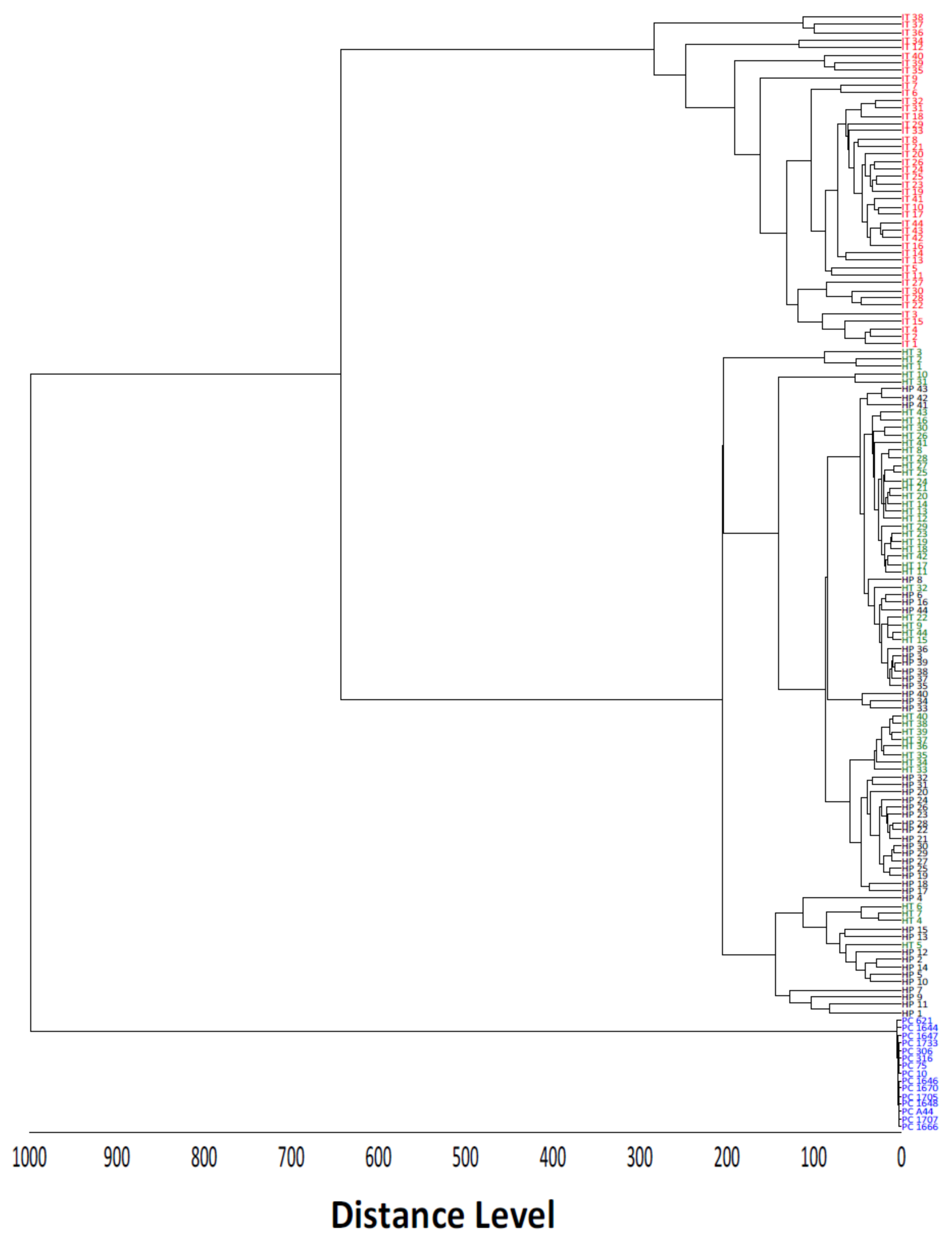 Molecules 27 08947 g004