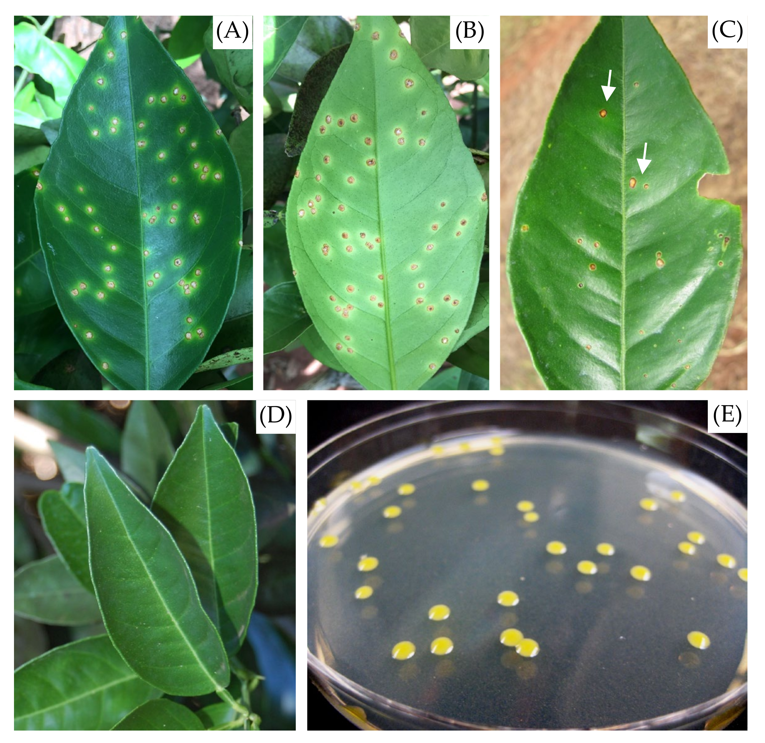 Molecules 27 08947 g010