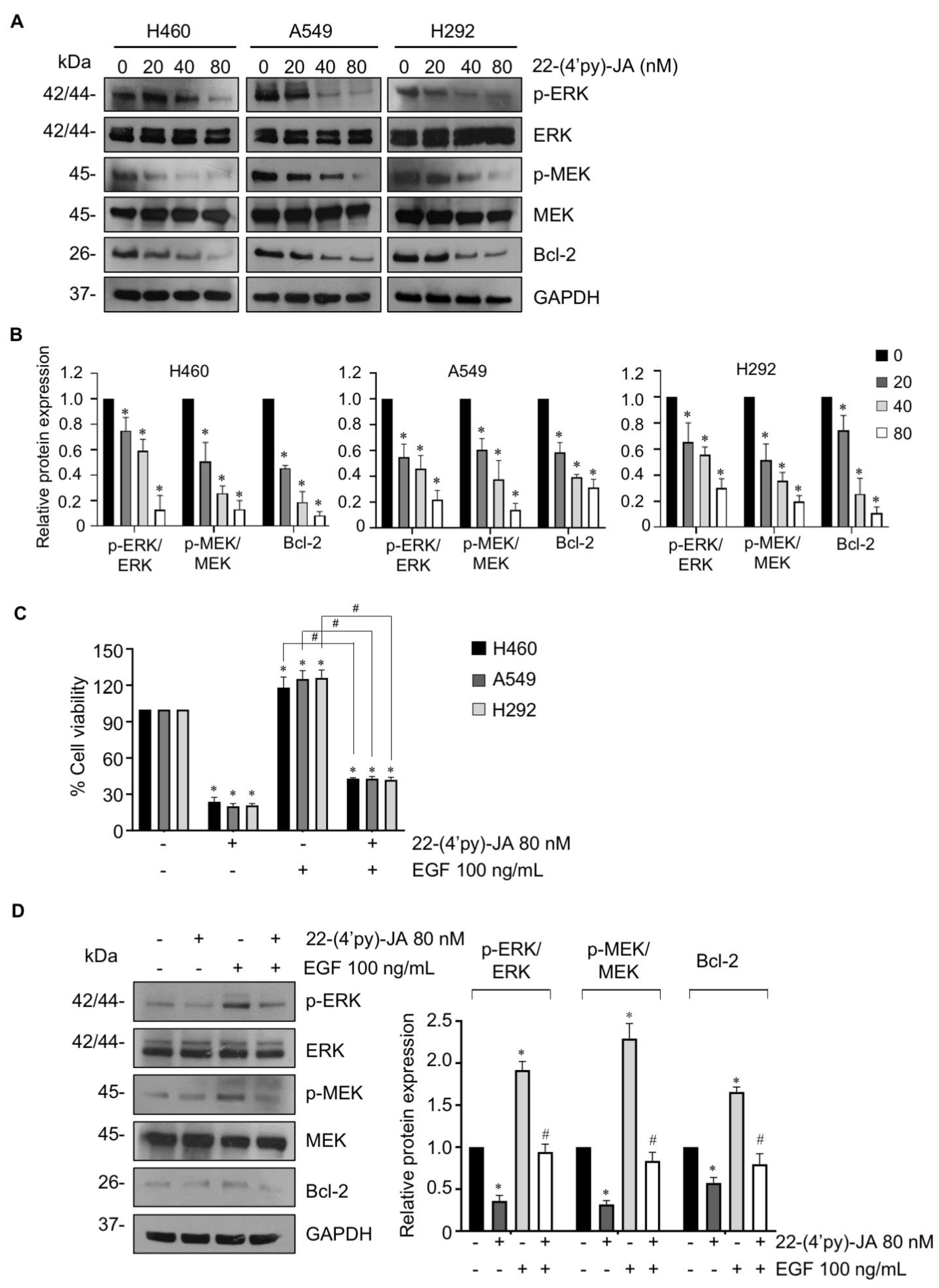 Molecules 27 08948 g009