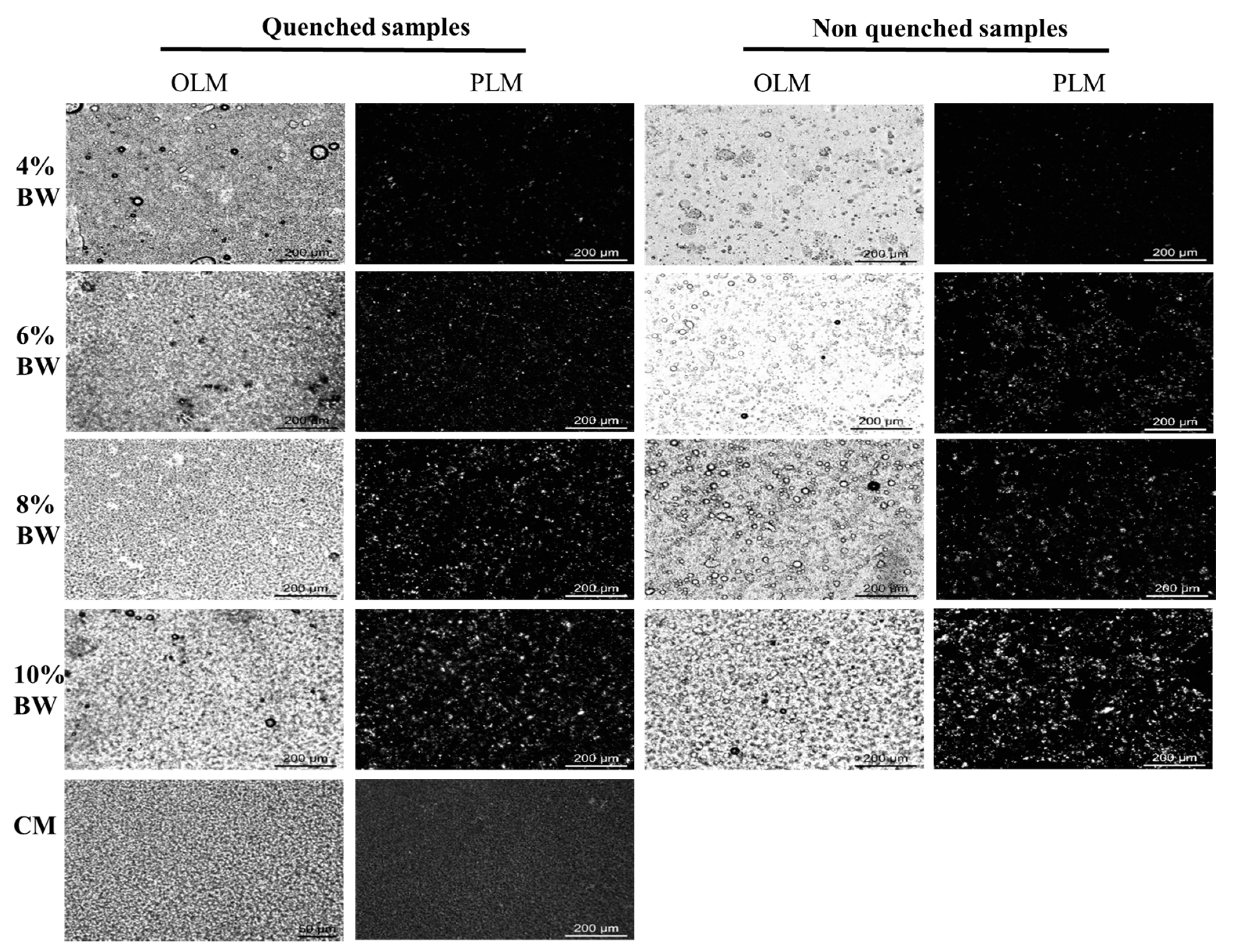Molecules 27 08952 g003
