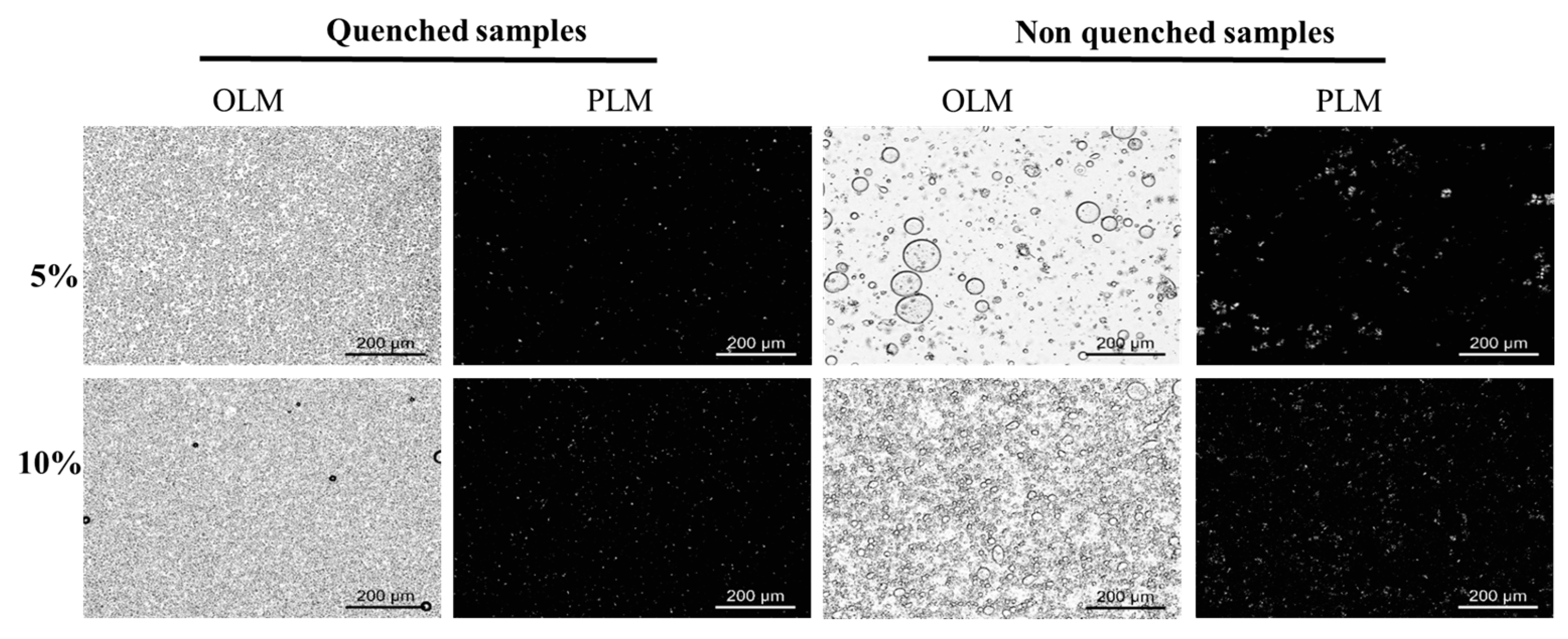 Molecules 27 08952 g006