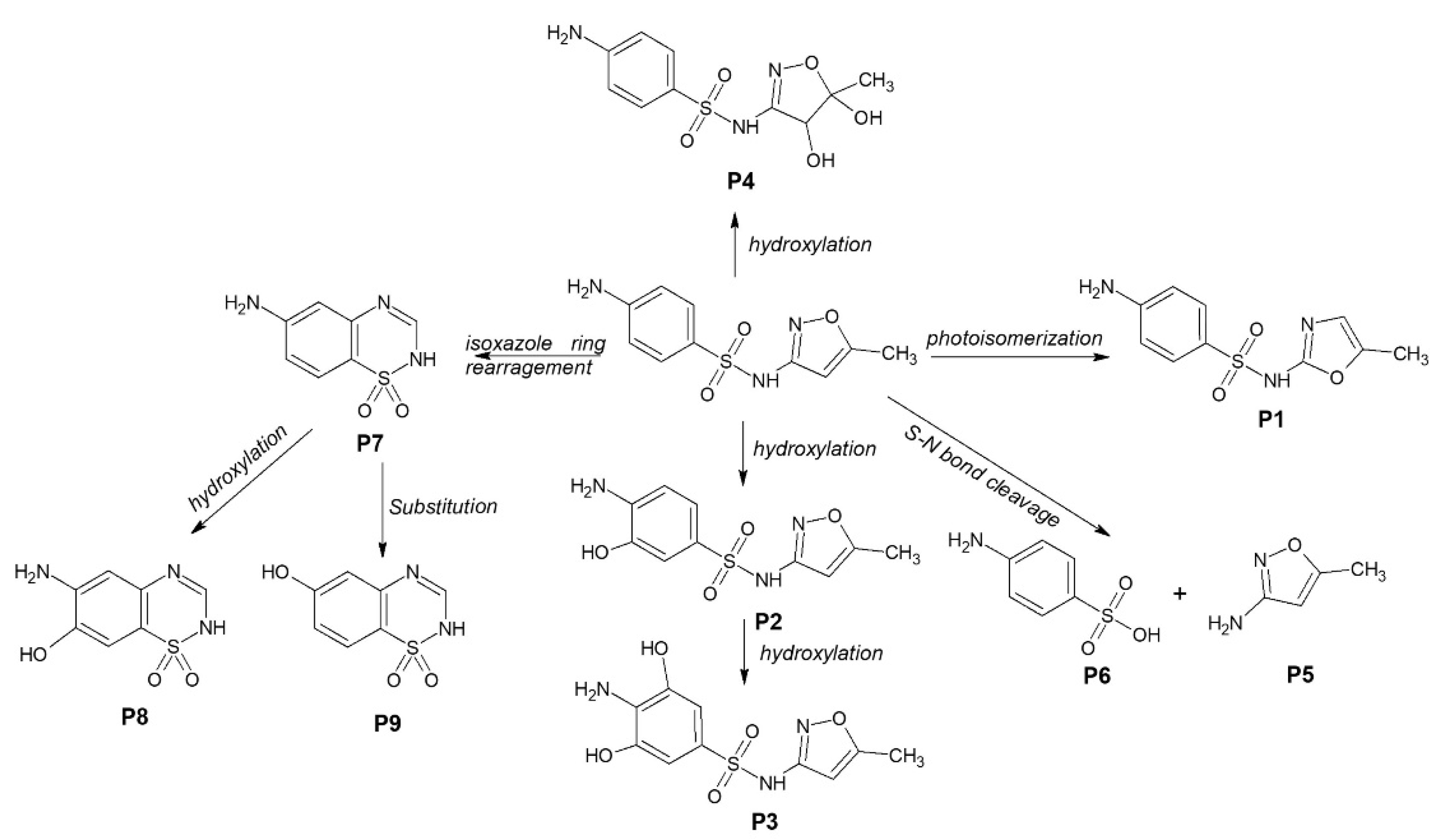 Molecules 27 08959 g005 Molecules 27 08959 g005