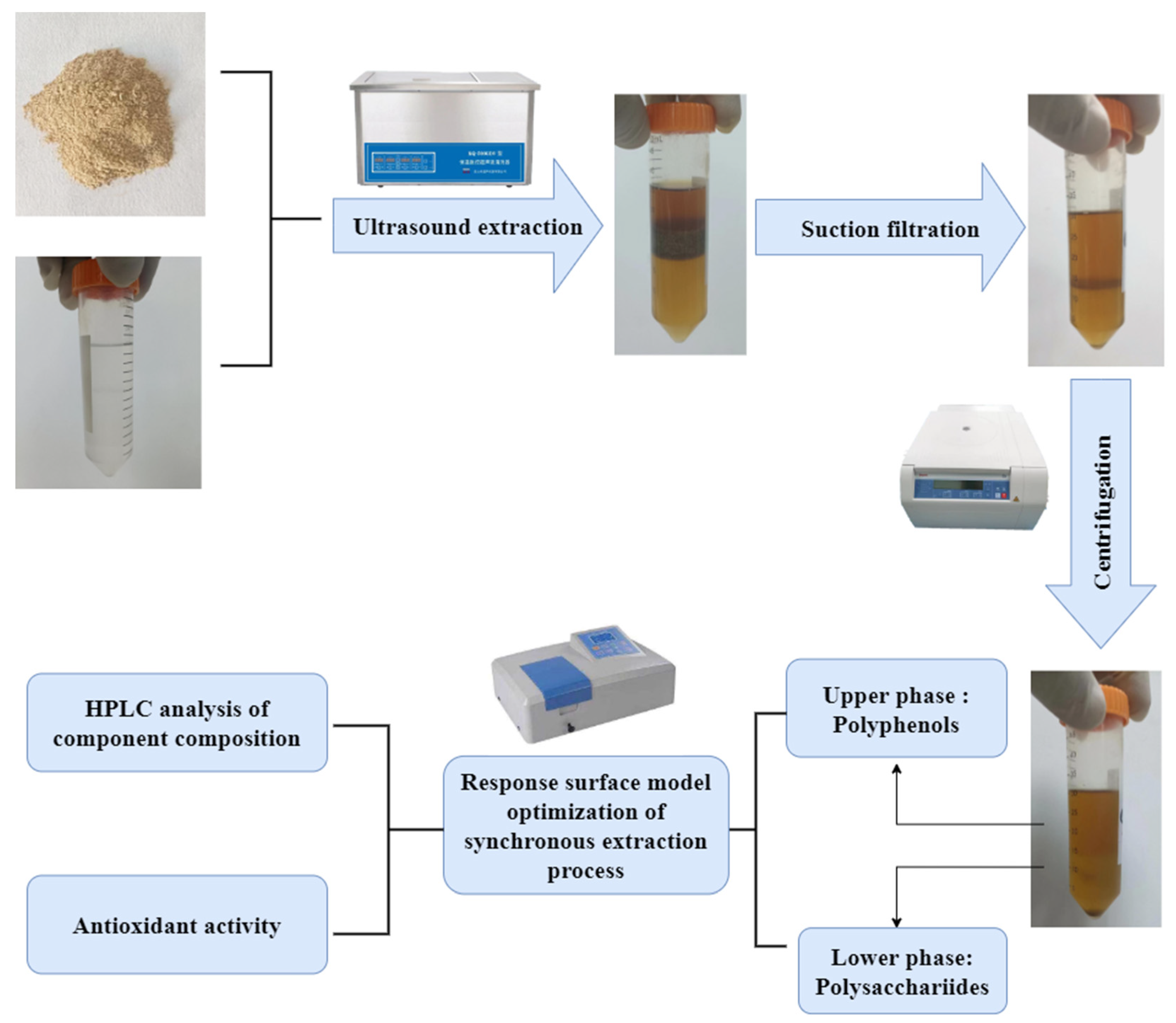 Molecules 27 08962 g005