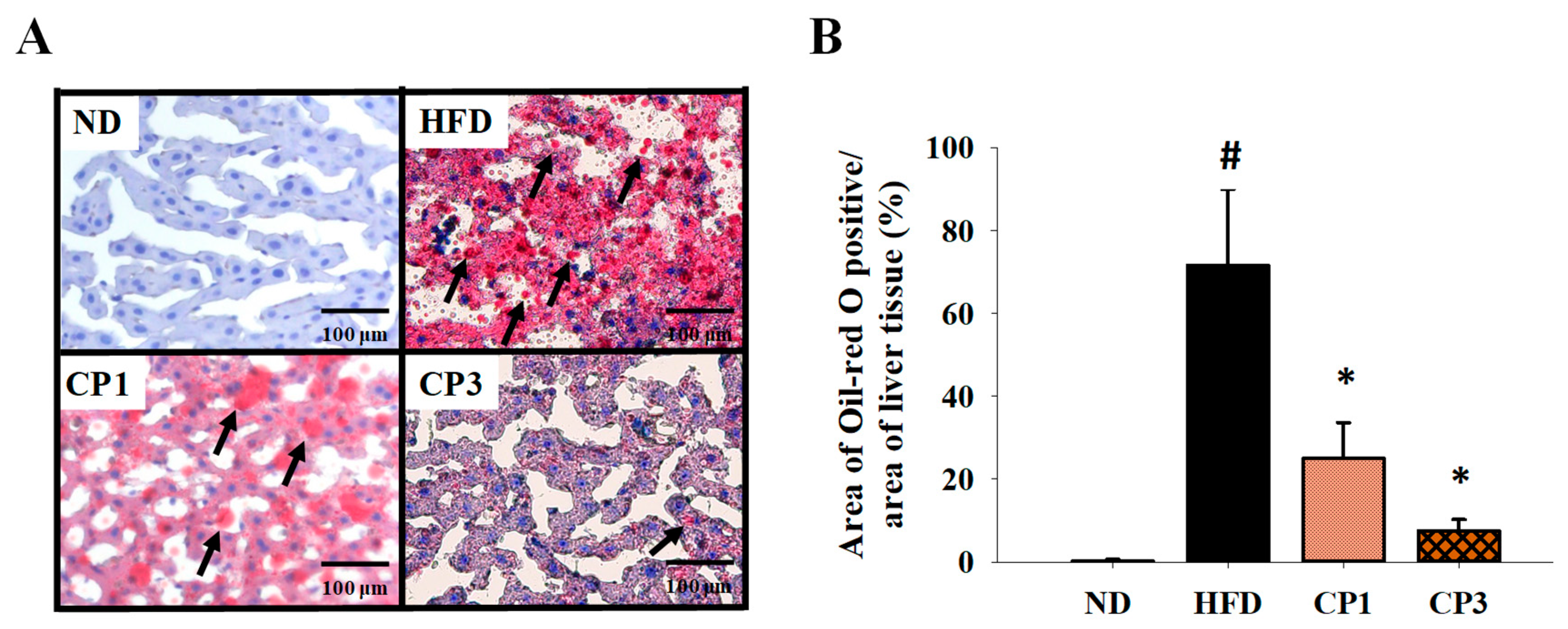 Molecules 27 08966 g005