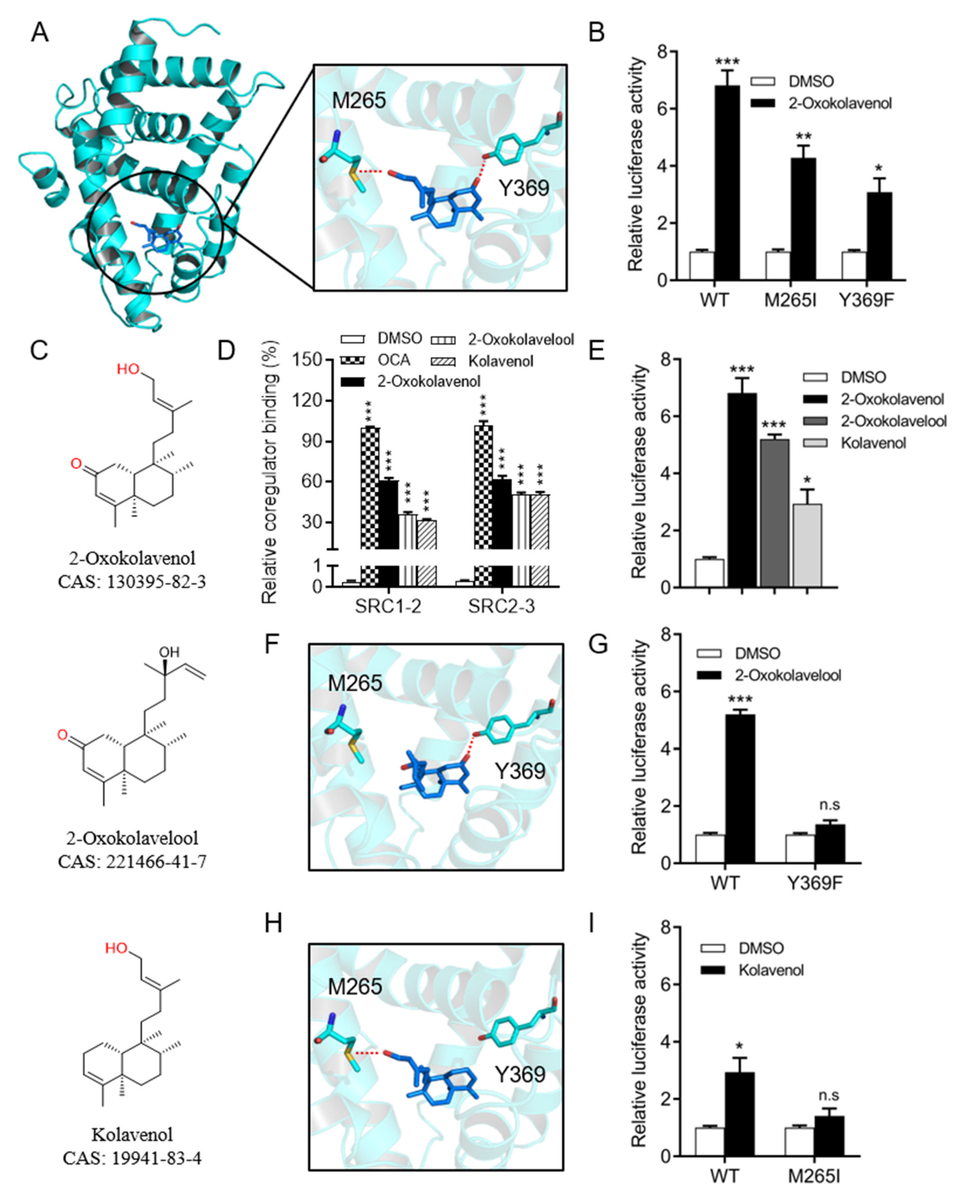Molecules 27 08968 g003 Molecules 27 08968 g003