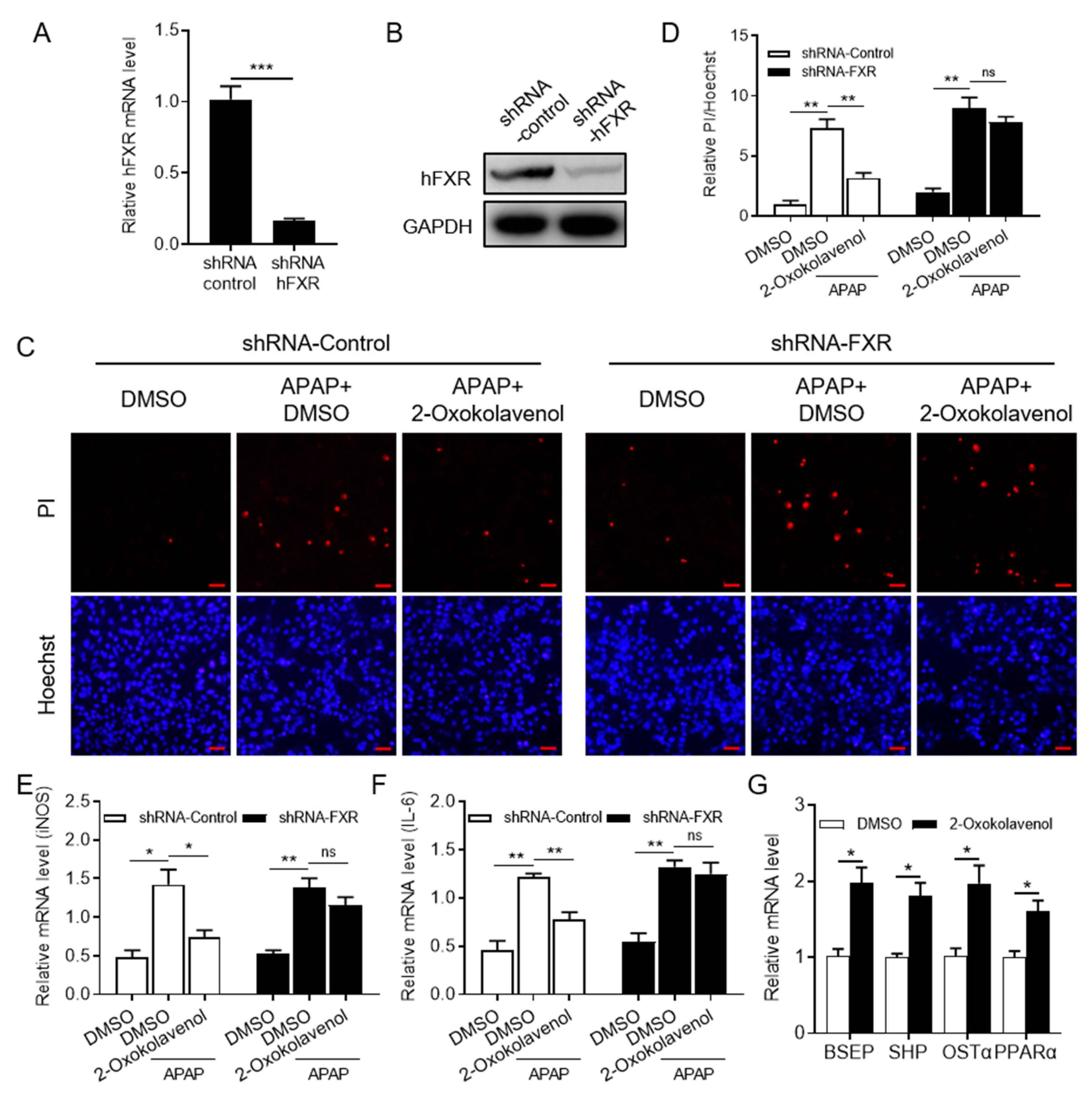 Molecules 27 08968 g004 Molecules 27 08968 g004