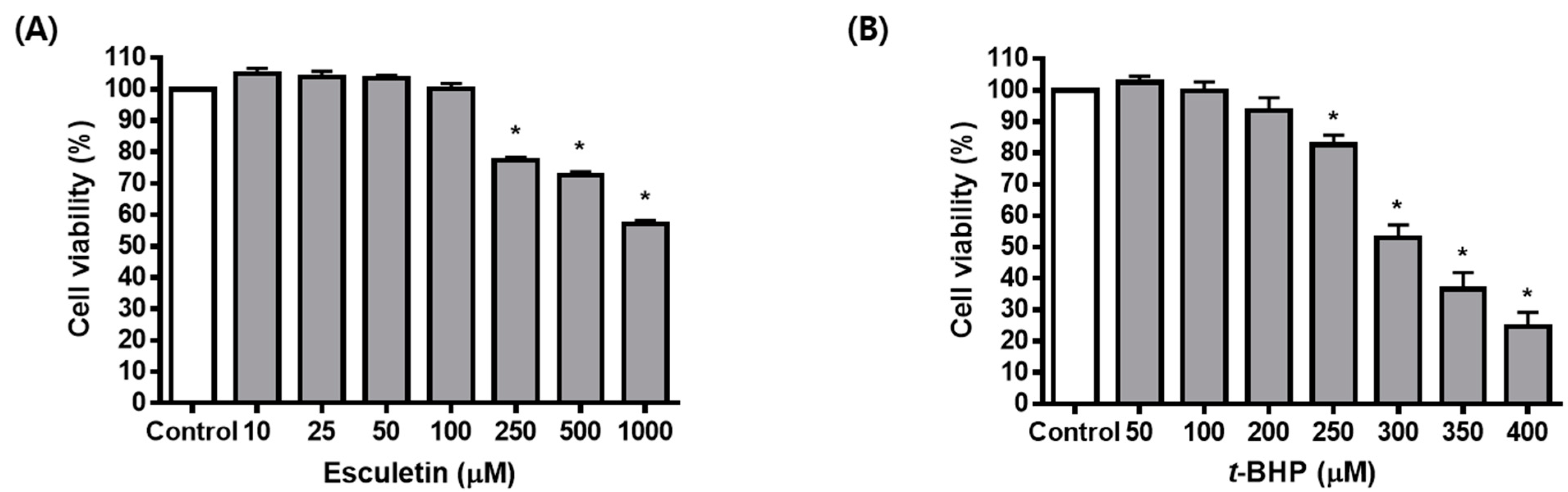 Molecules 27 08970 g001a