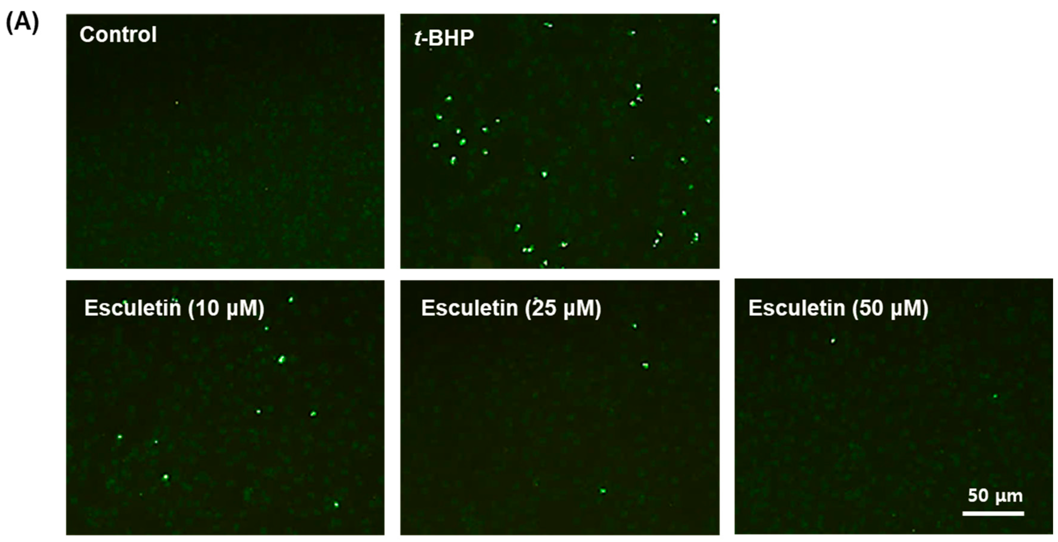 Molecules 27 08970 g002a