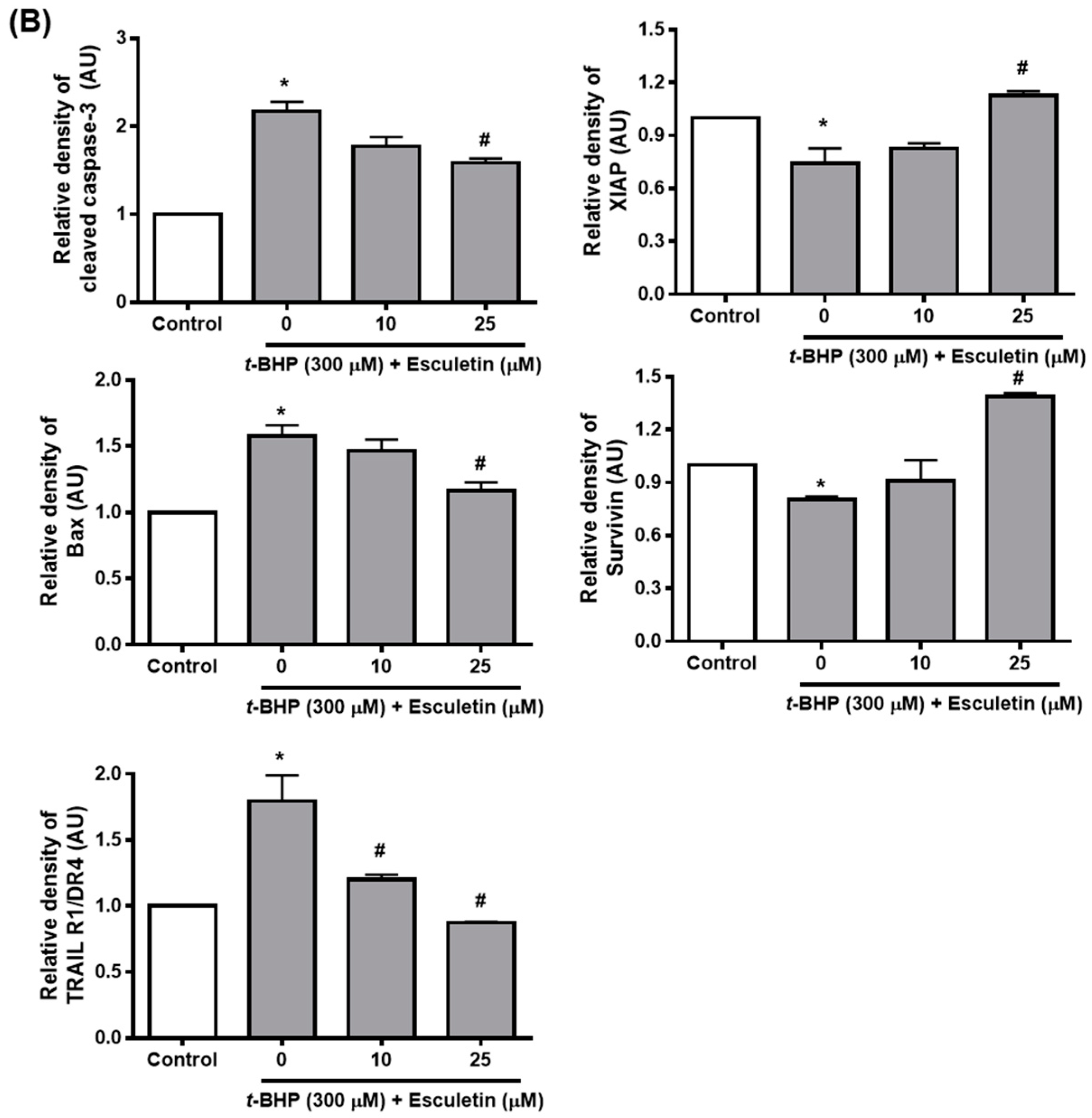 Molecules 27 08970 g003b