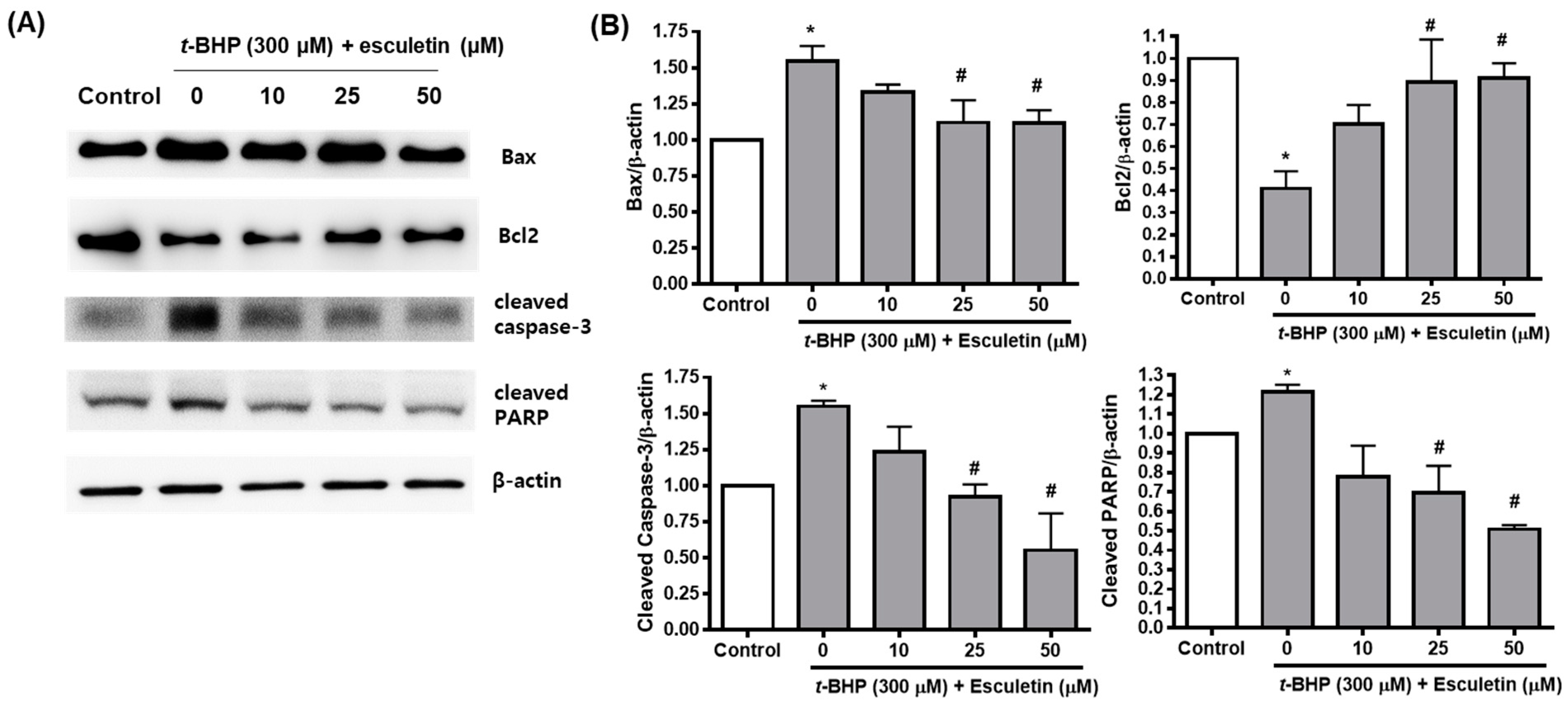 Molecules 27 08970 g004