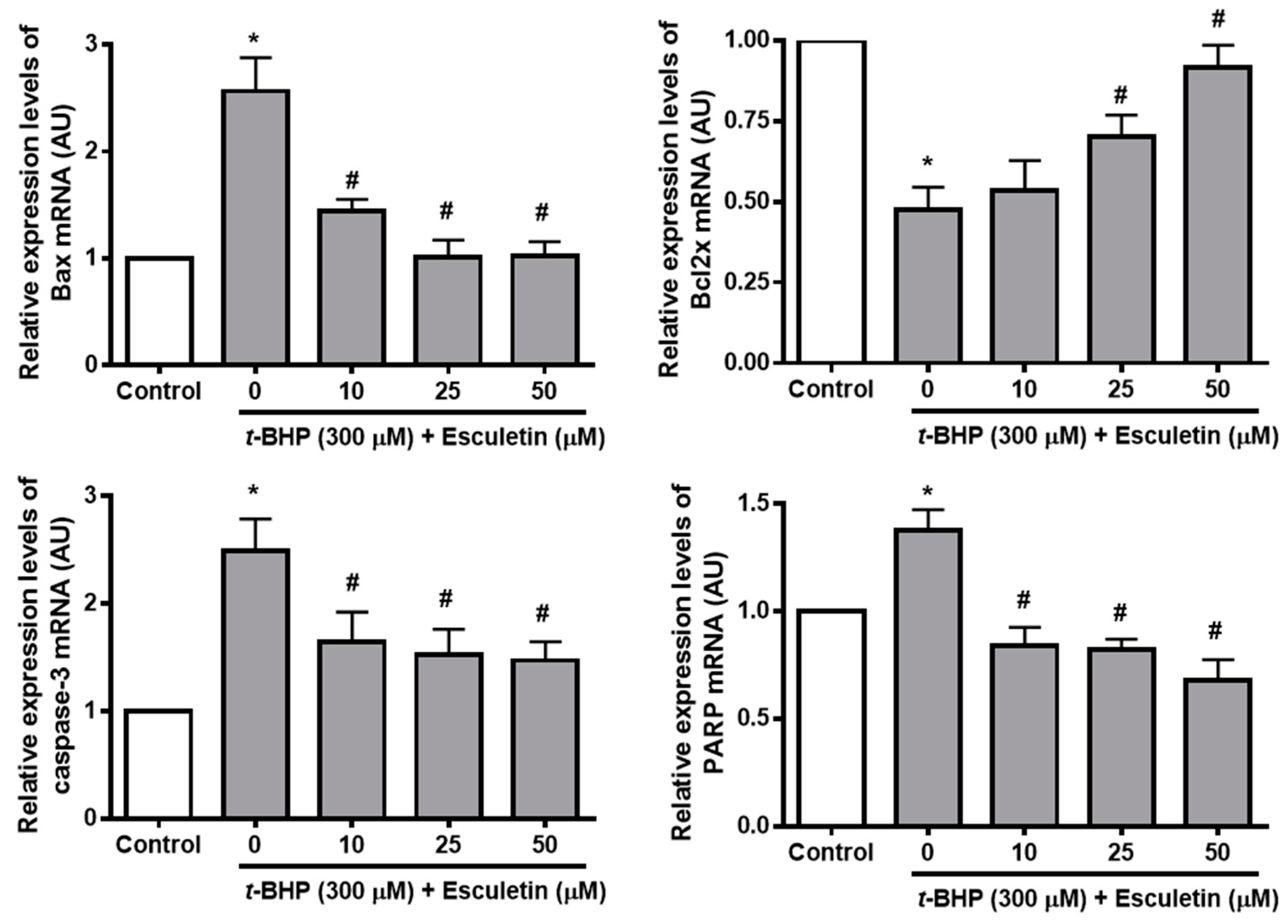 Molecules 27 08970 g005