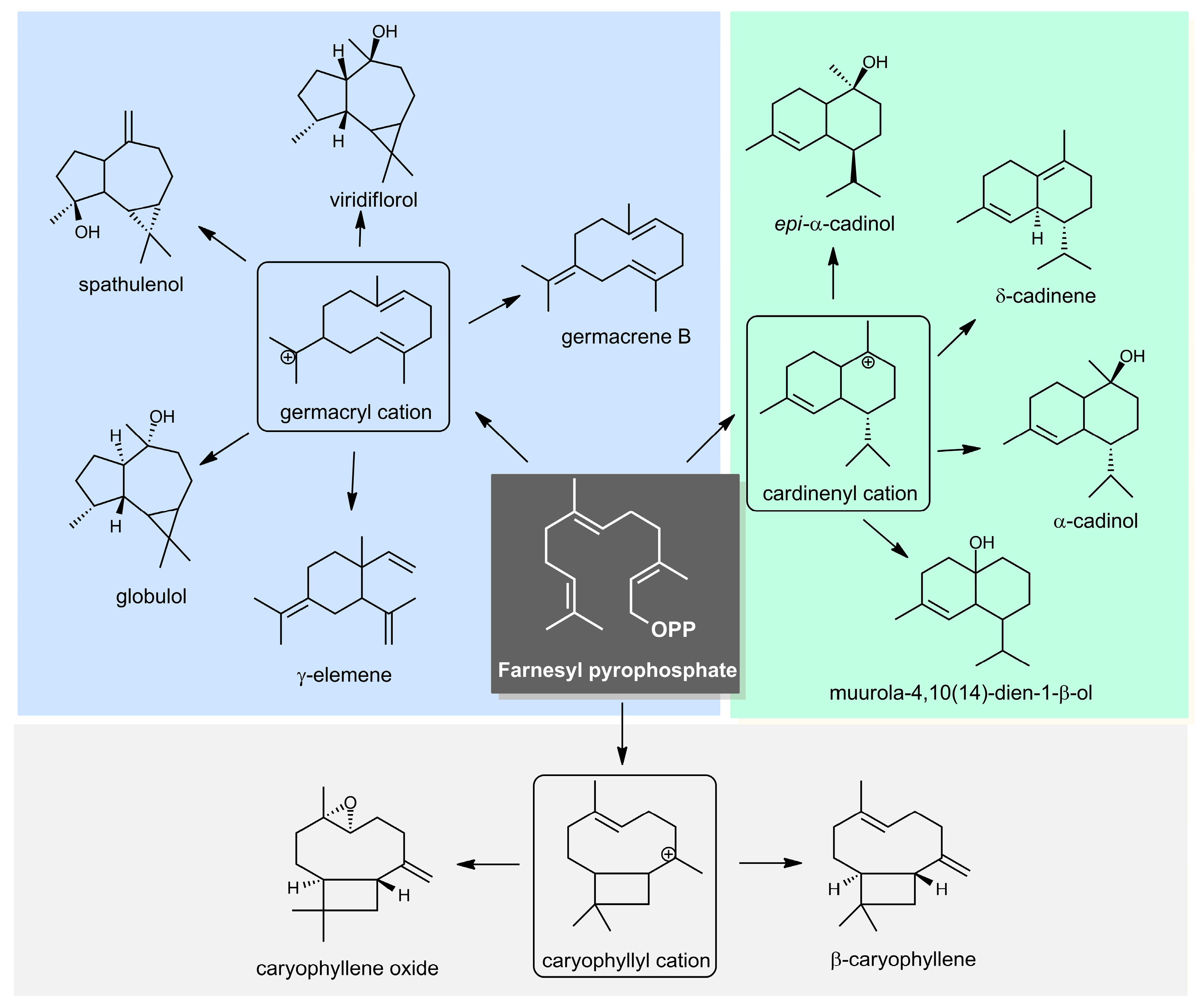 Molecules 27 08975 g001