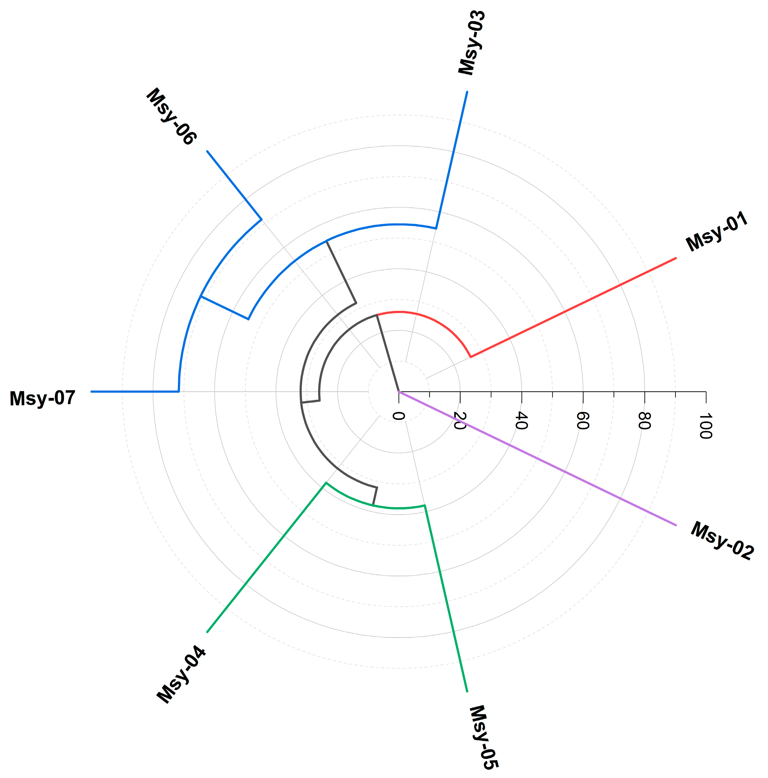 Molecules 27 08975 g002