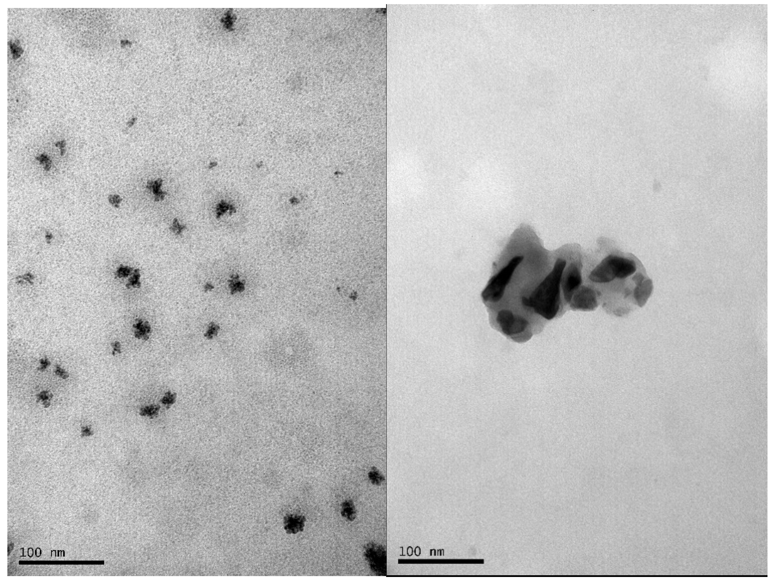 Molecules 27 08976 g002