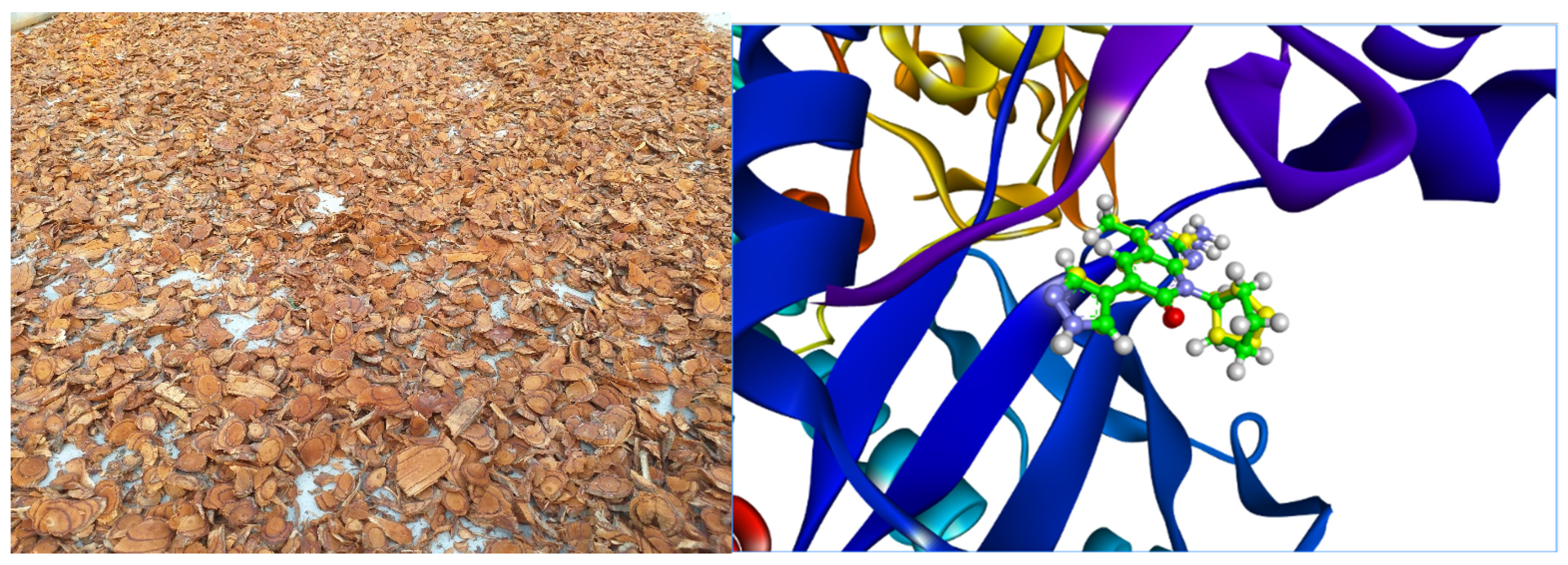 Molecules 27 08978 g001 Molecules 27 08978 g001