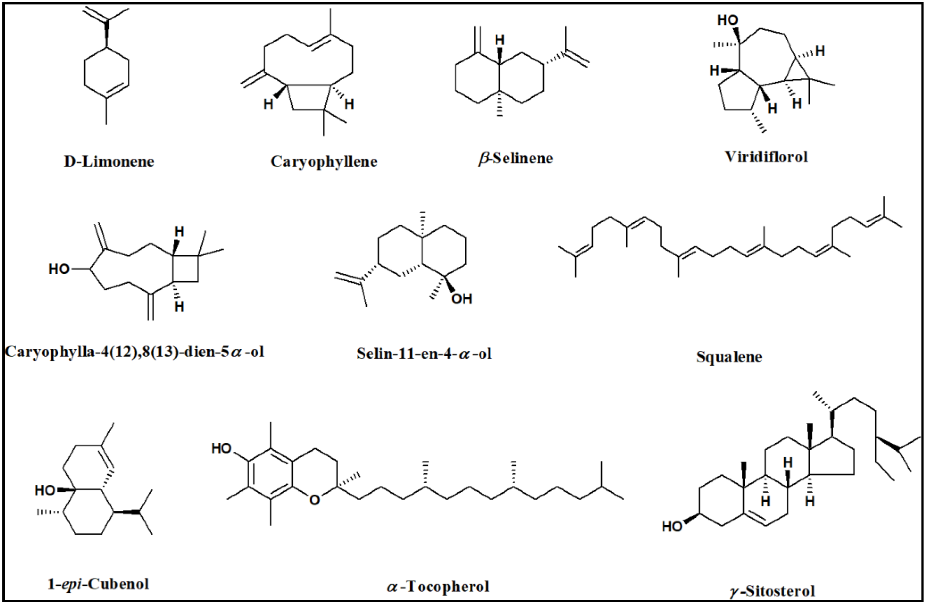 Molecules 27 08979 g002 Molecules 27 08979 g002