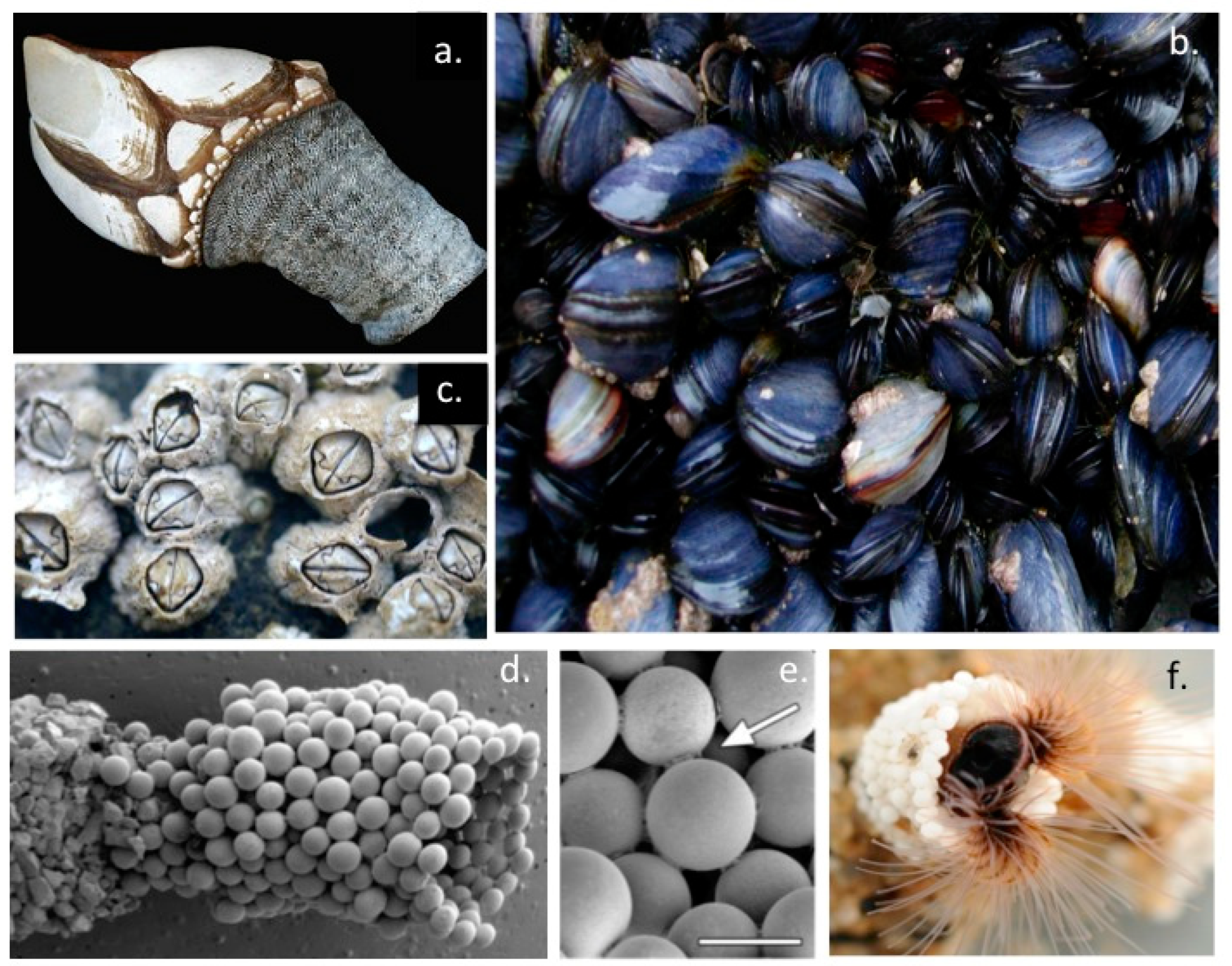 Molecules 27 08982 g001 Molecules 27 08982 g001