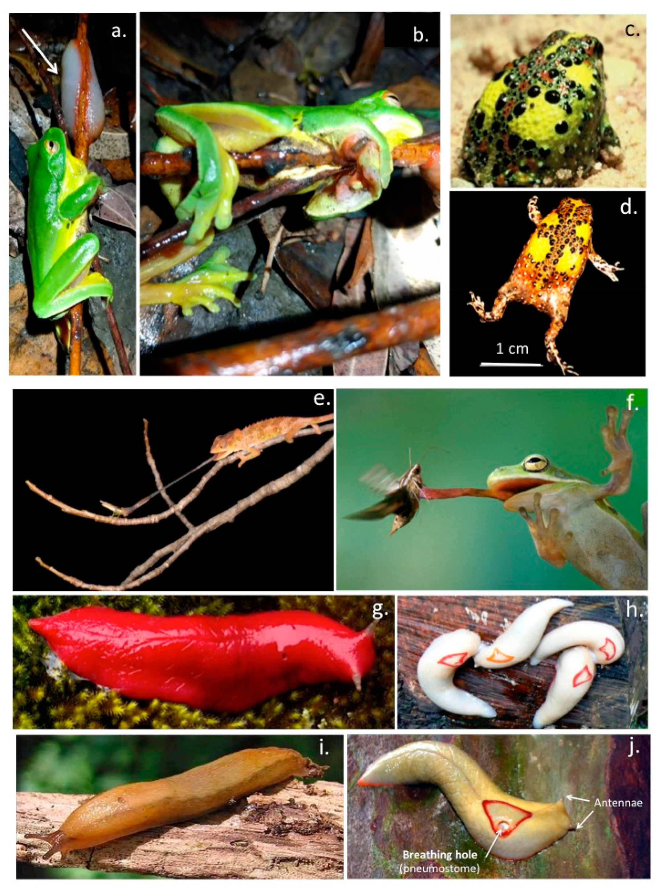 Molecules 27 08982 g003 Molecules 27 08982 g003