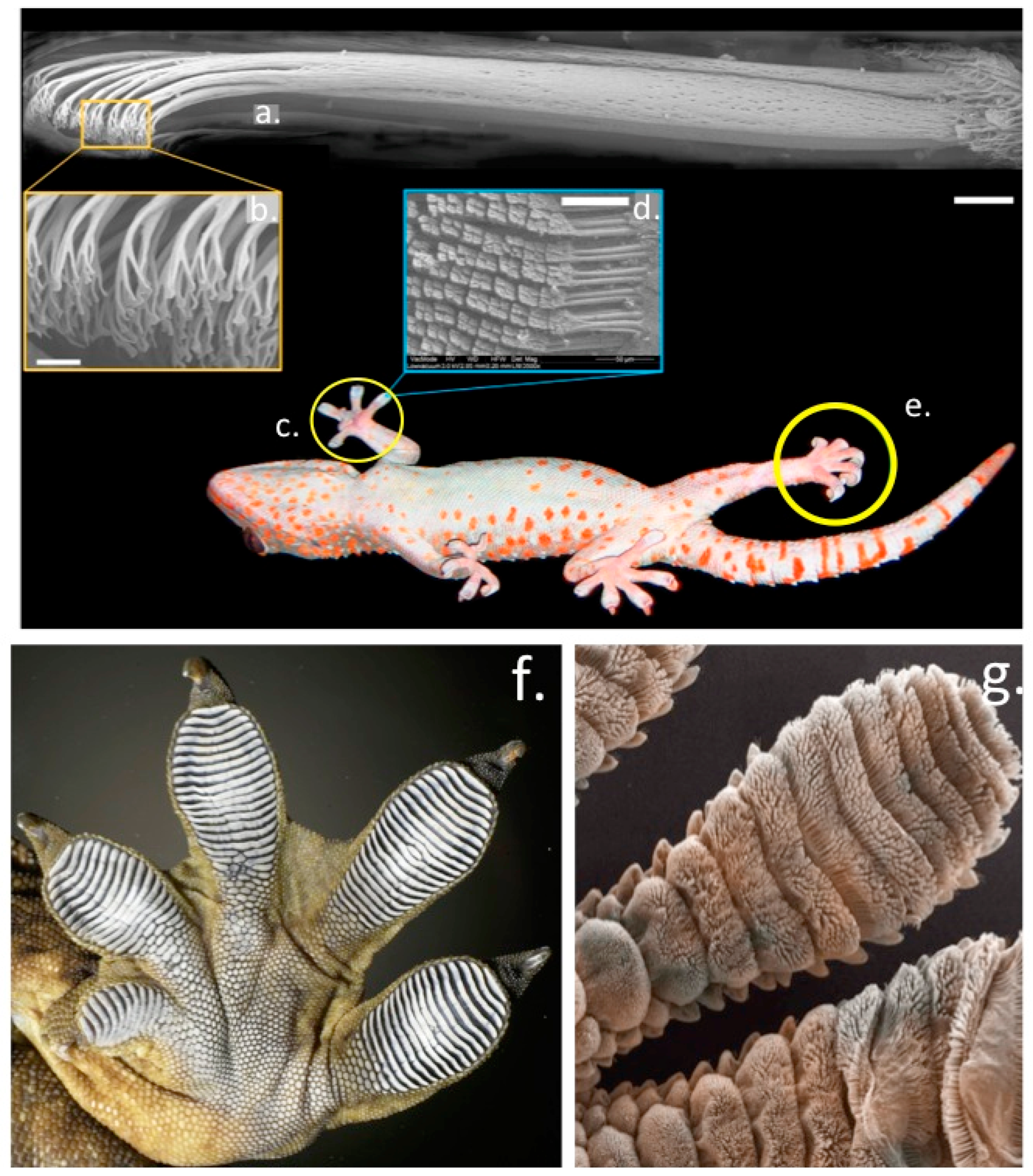 Molecules 27 08982 g004 Molecules 27 08982 g004