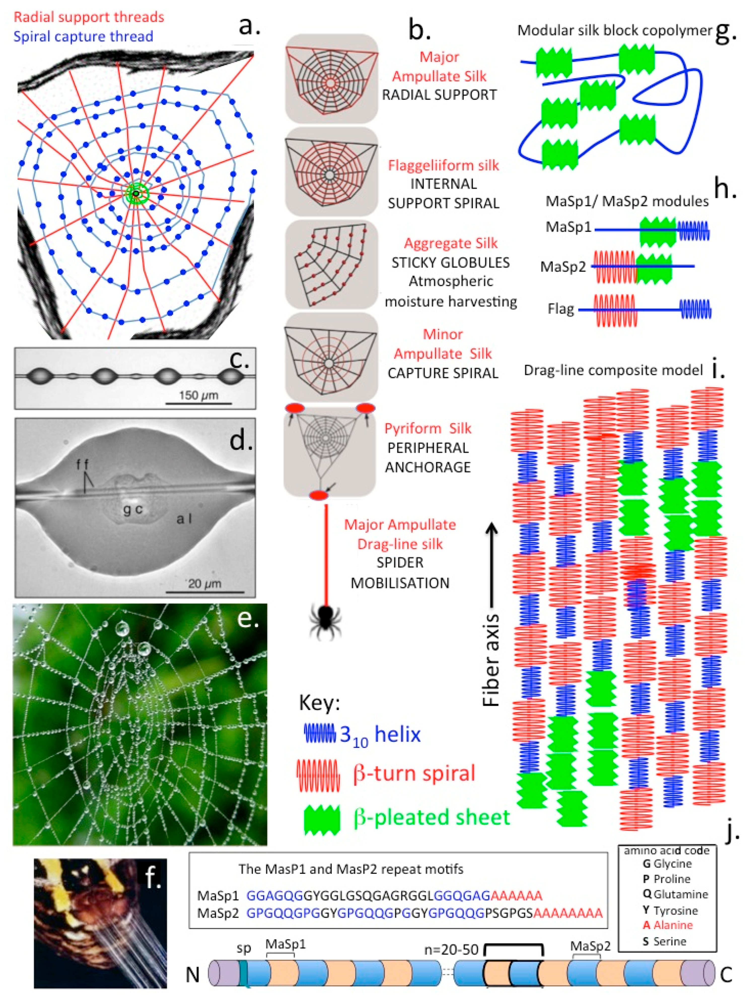 Molecules 27 08982 g006 Molecules 27 08982 g006