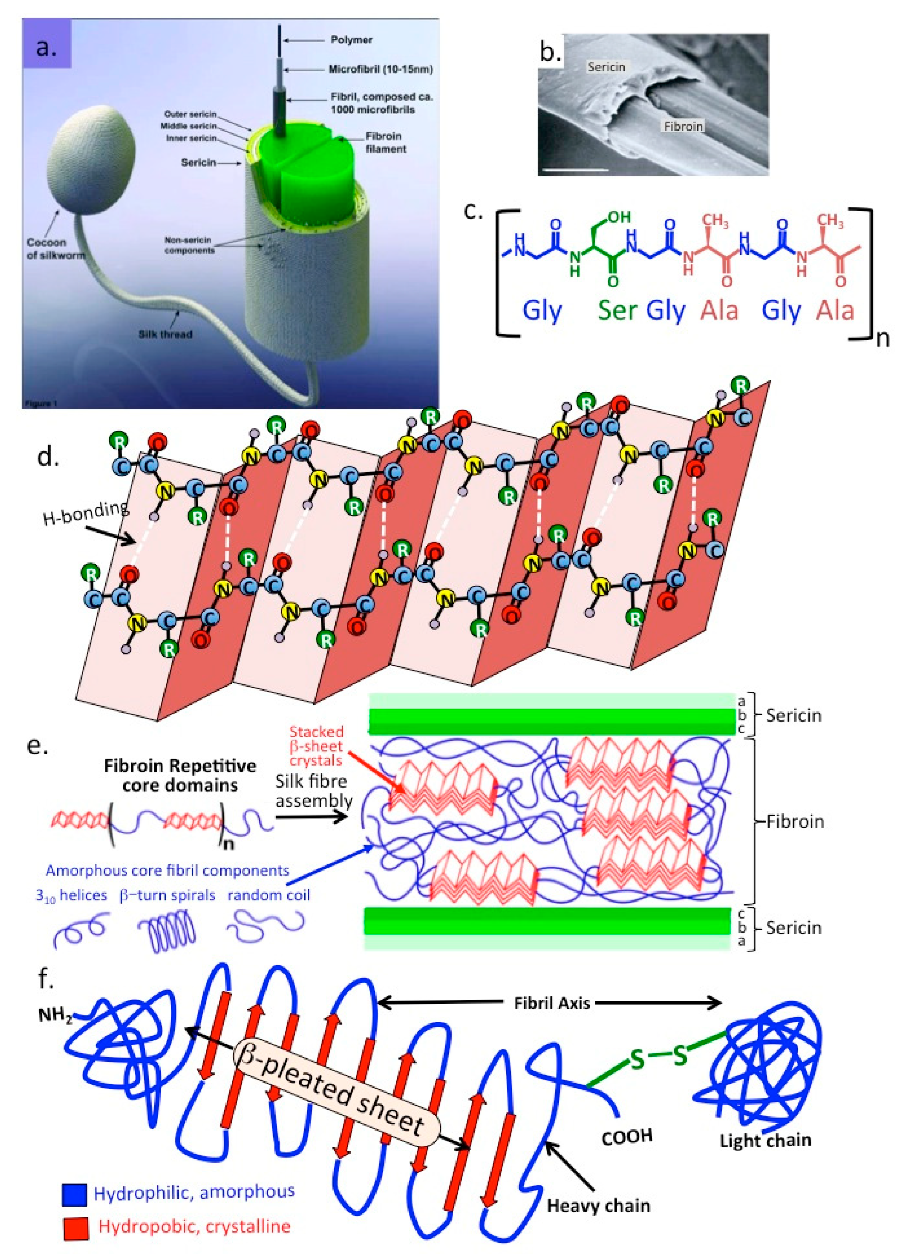 Molecules 27 08982 g007 Molecules 27 08982 g007