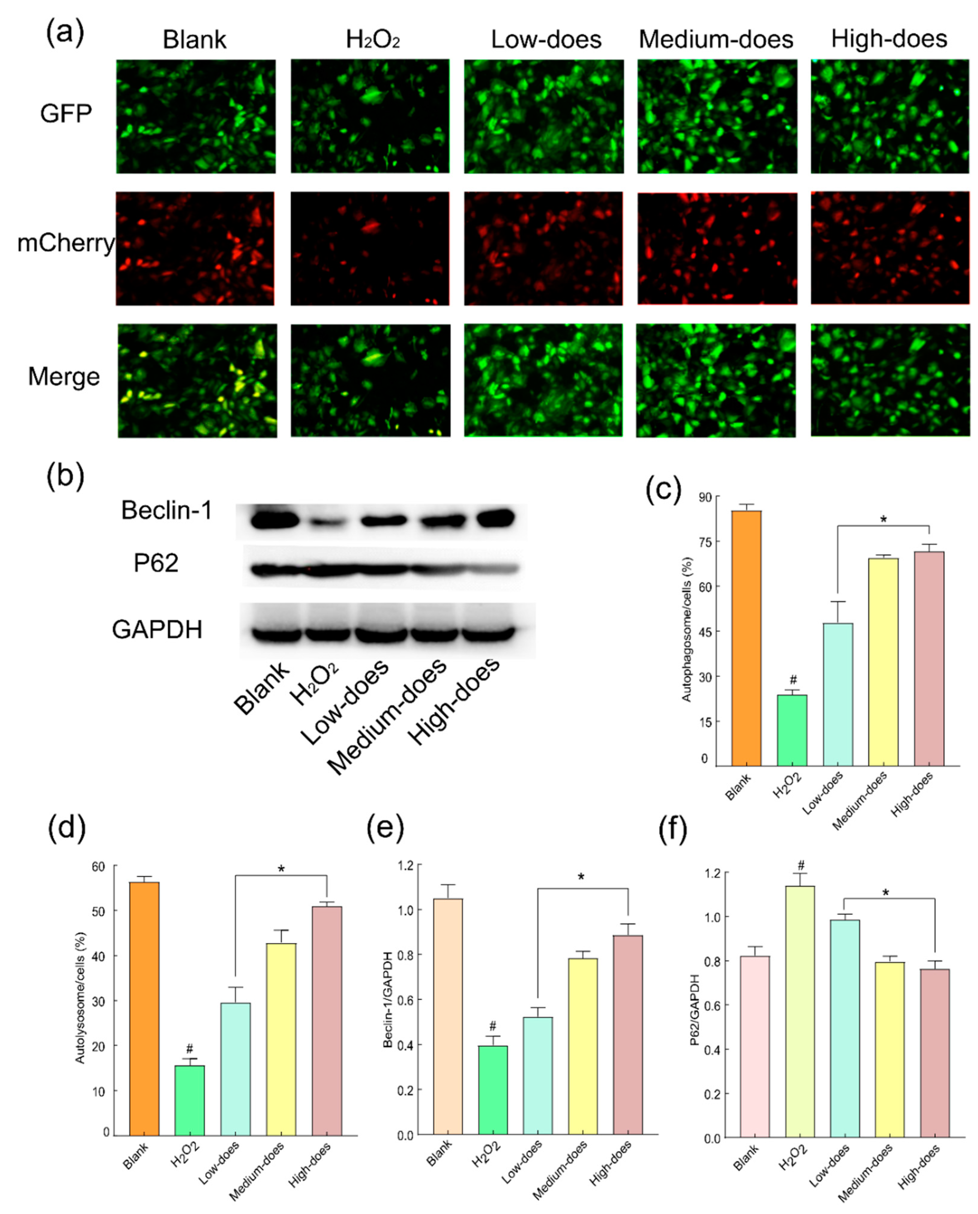 Molecules 27 08985 g006 Molecules 27 08985 g006