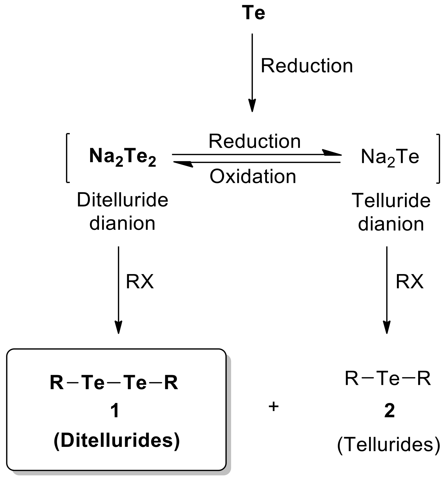 Molecules 27 08991 sch002 Molecules 27 08991 sch002