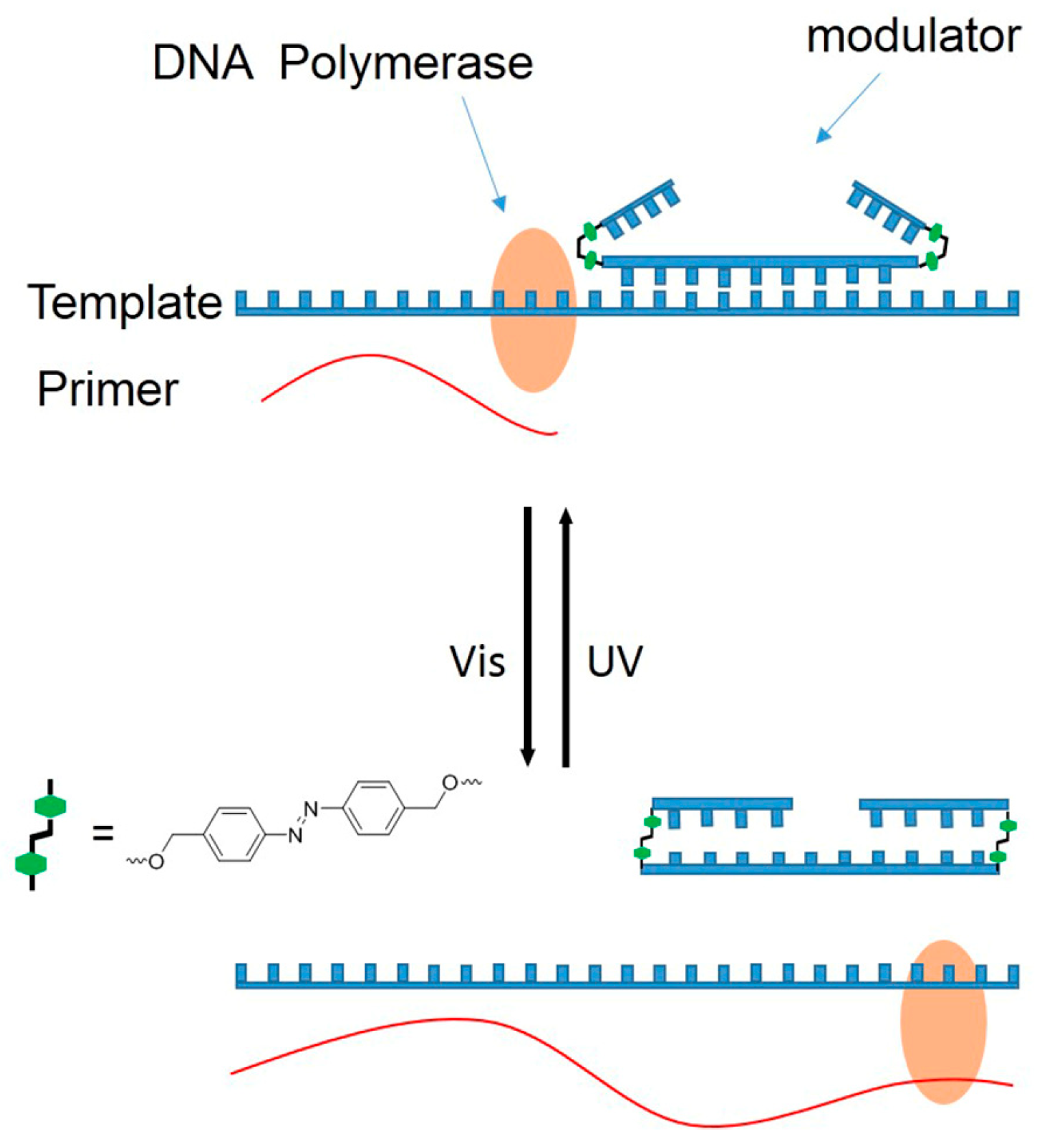 Molecules 27 08992 g001