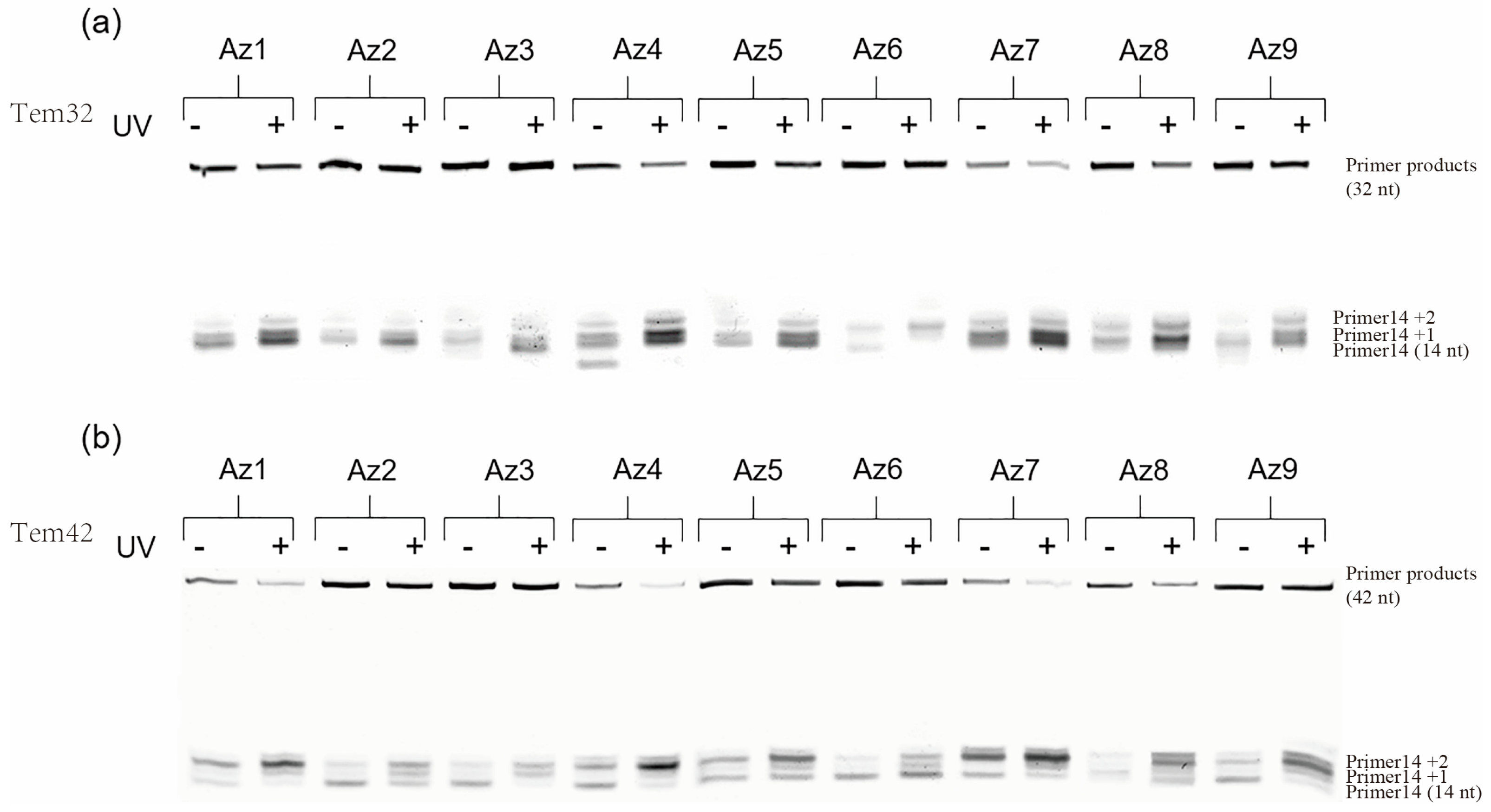 Molecules 27 08992 g005
