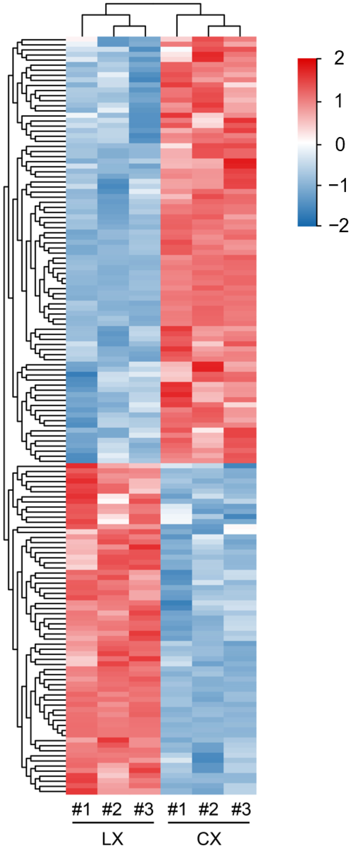 Molecules 27 08995 g005 Molecules 27 08995 g005