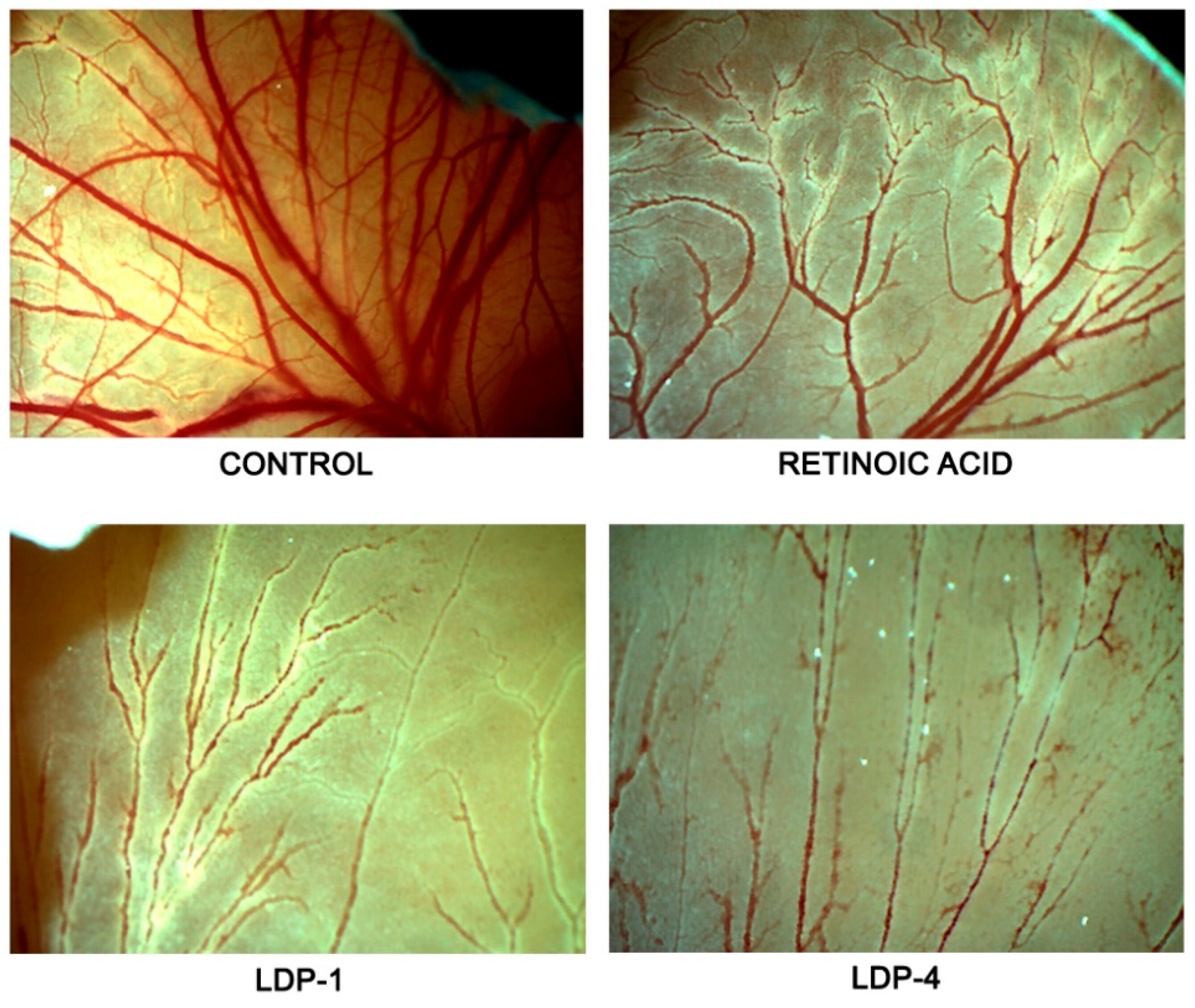 Molecules 27 09000 g005 Molecules 27 09000 g005