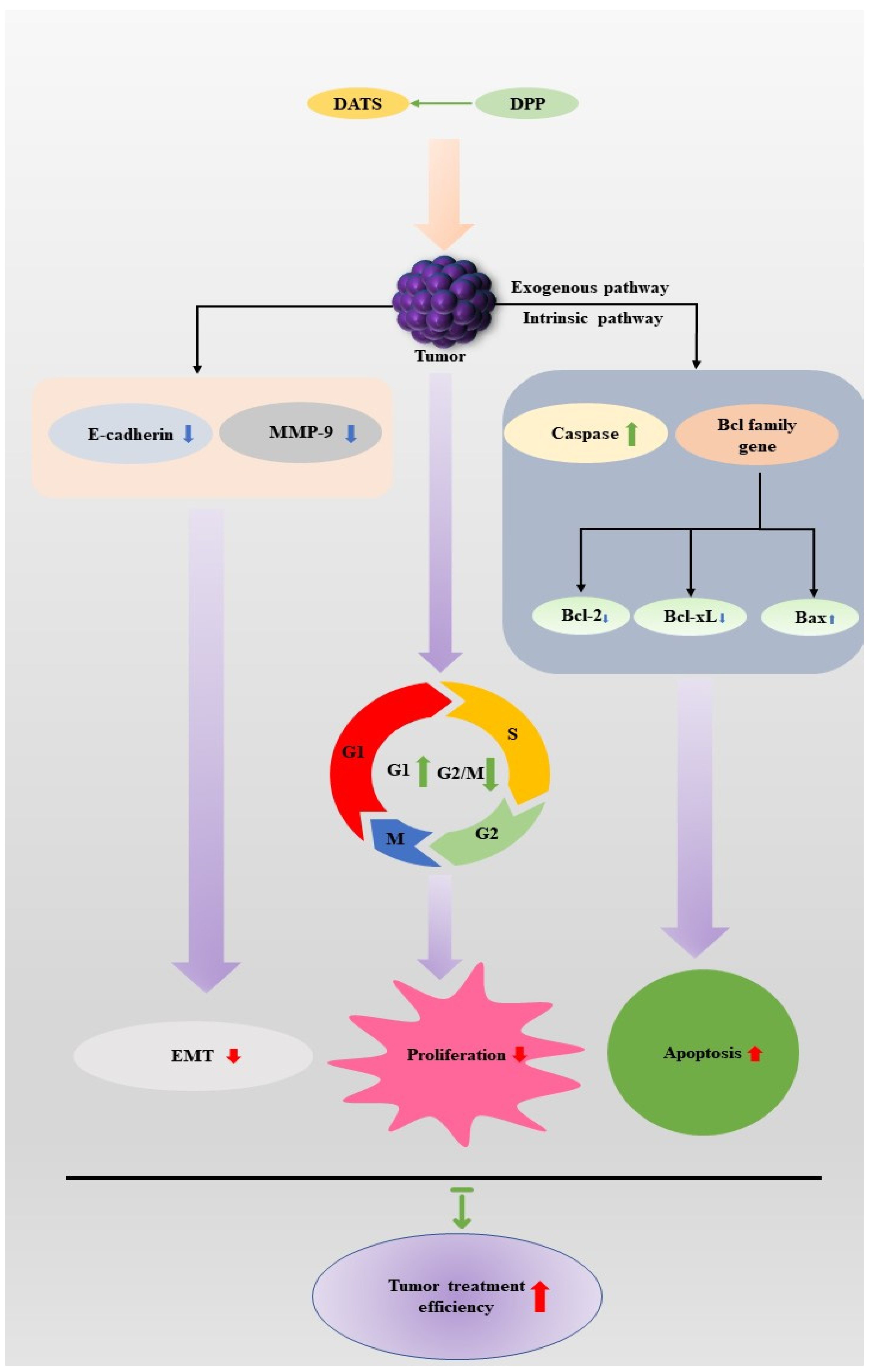 Molecules 27 09005 g003