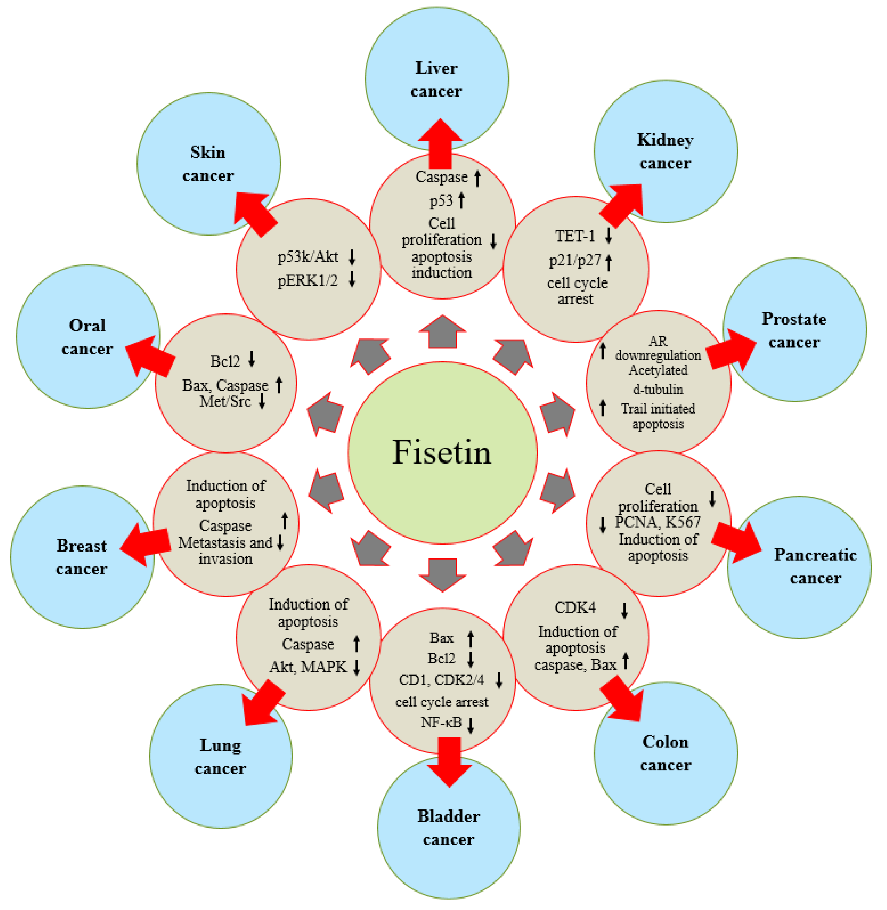Molecules 27 09009 g004