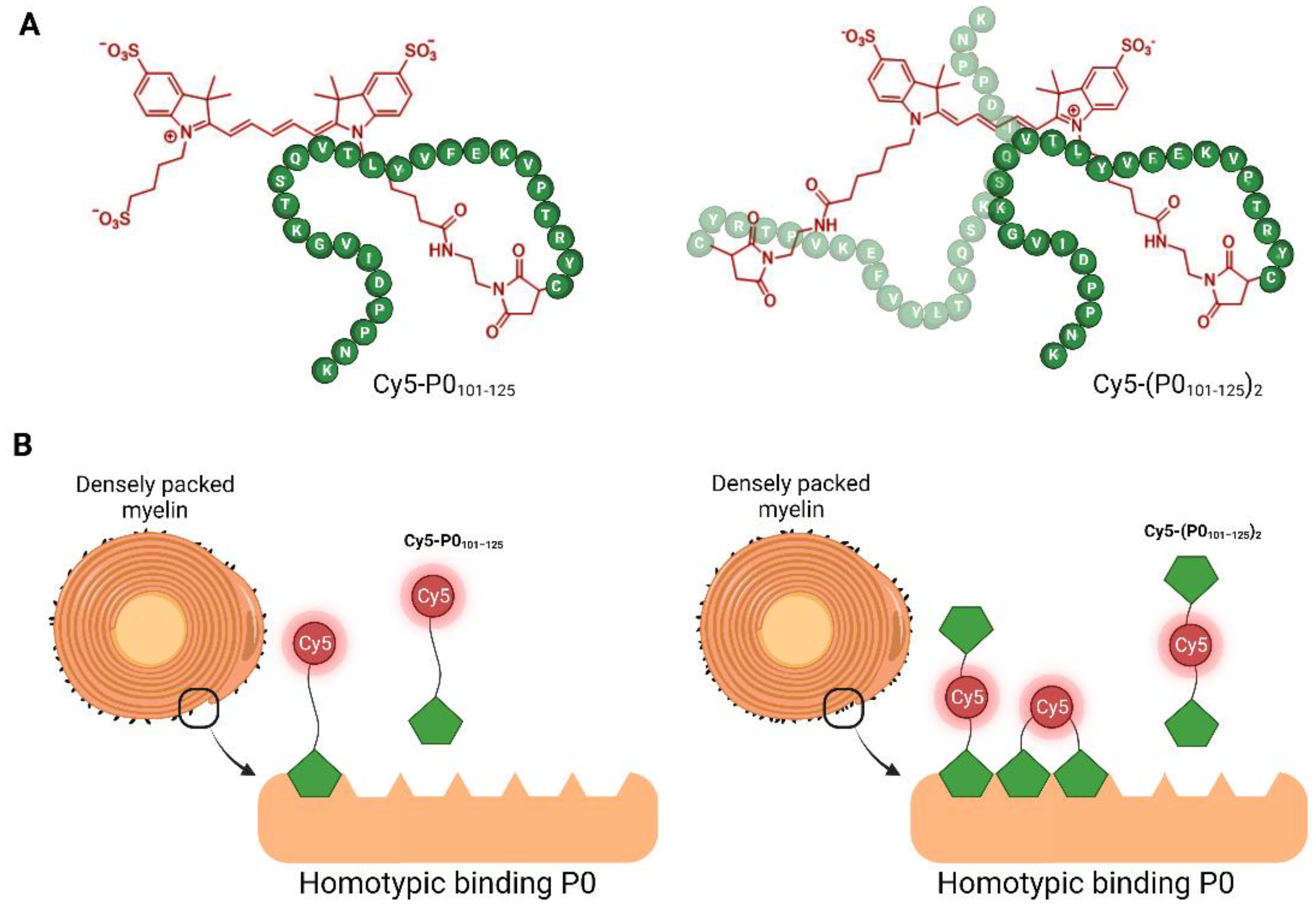 Molecules 27 09015 g001 Molecules 27 09015 g001