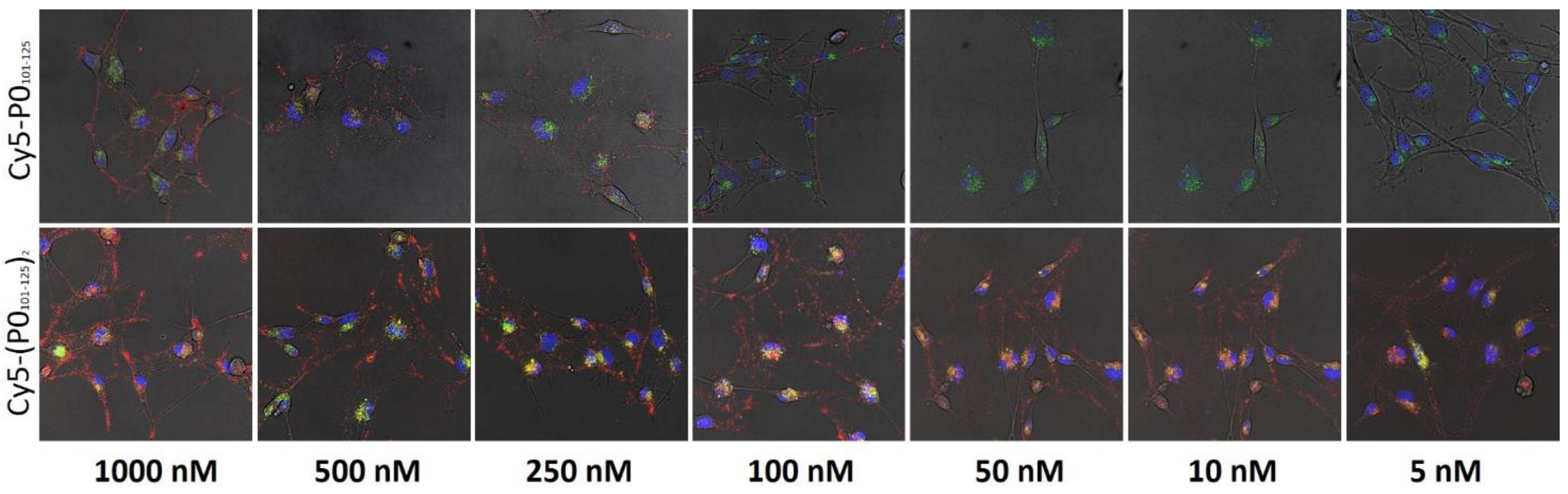 Molecules 27 09015 g004 Molecules 27 09015 g004