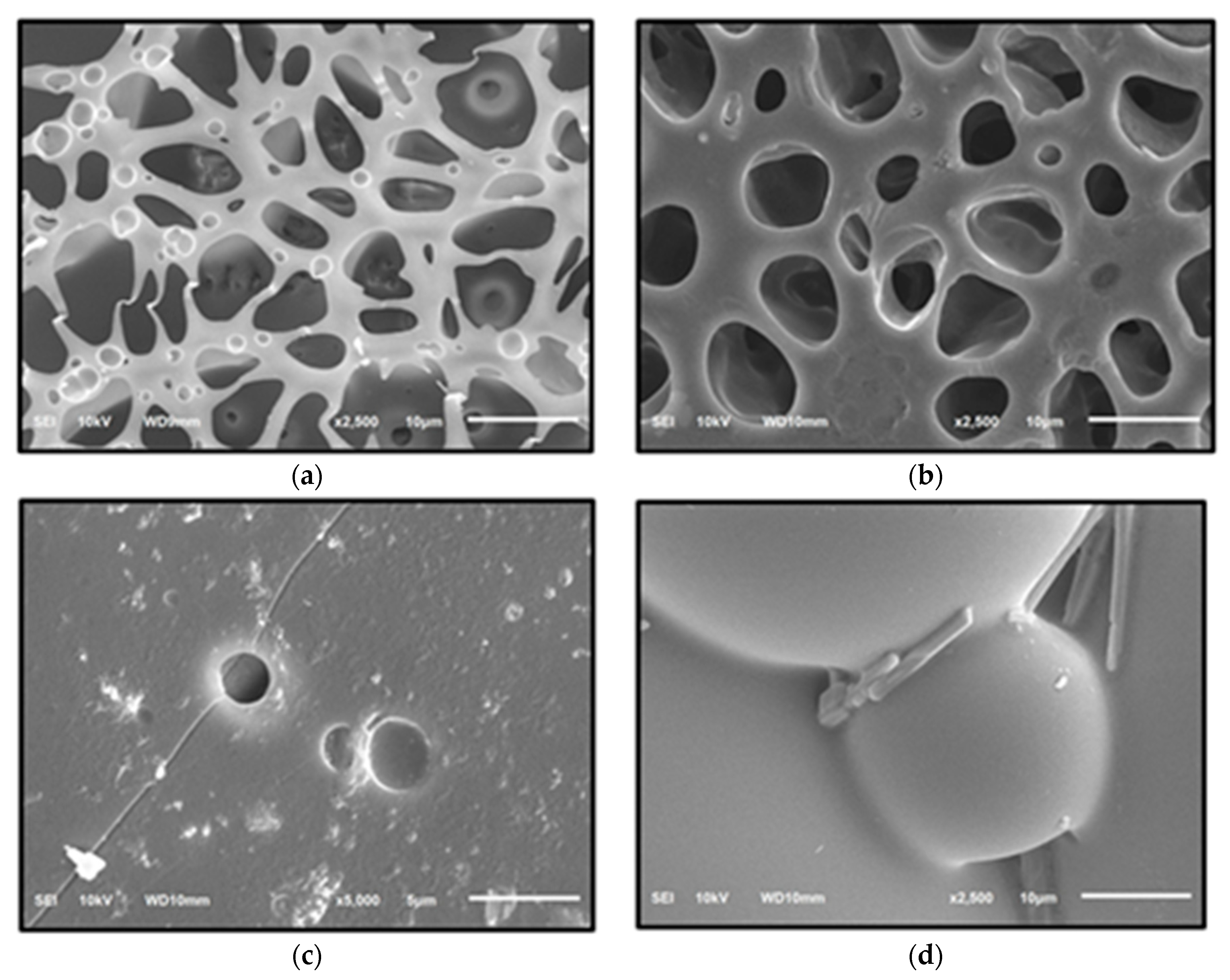 Molecules 27 09016 g002 Molecules 27 09016 g002