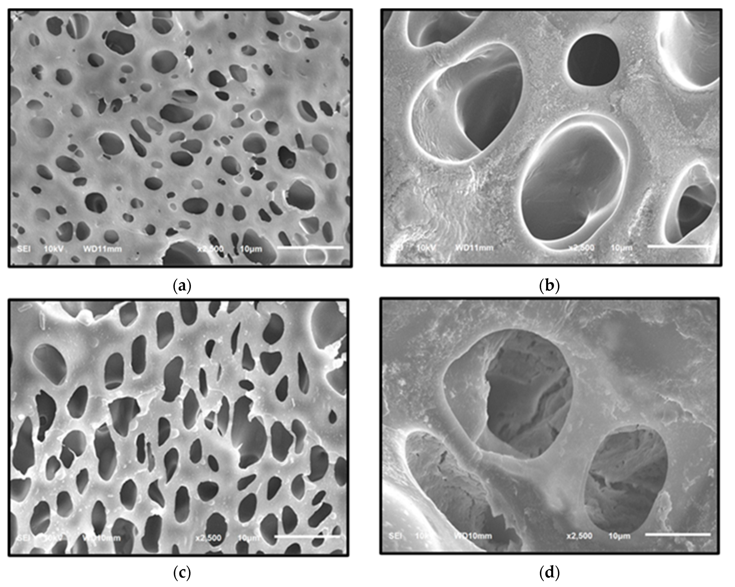 Molecules 27 09016 g003 Molecules 27 09016 g003