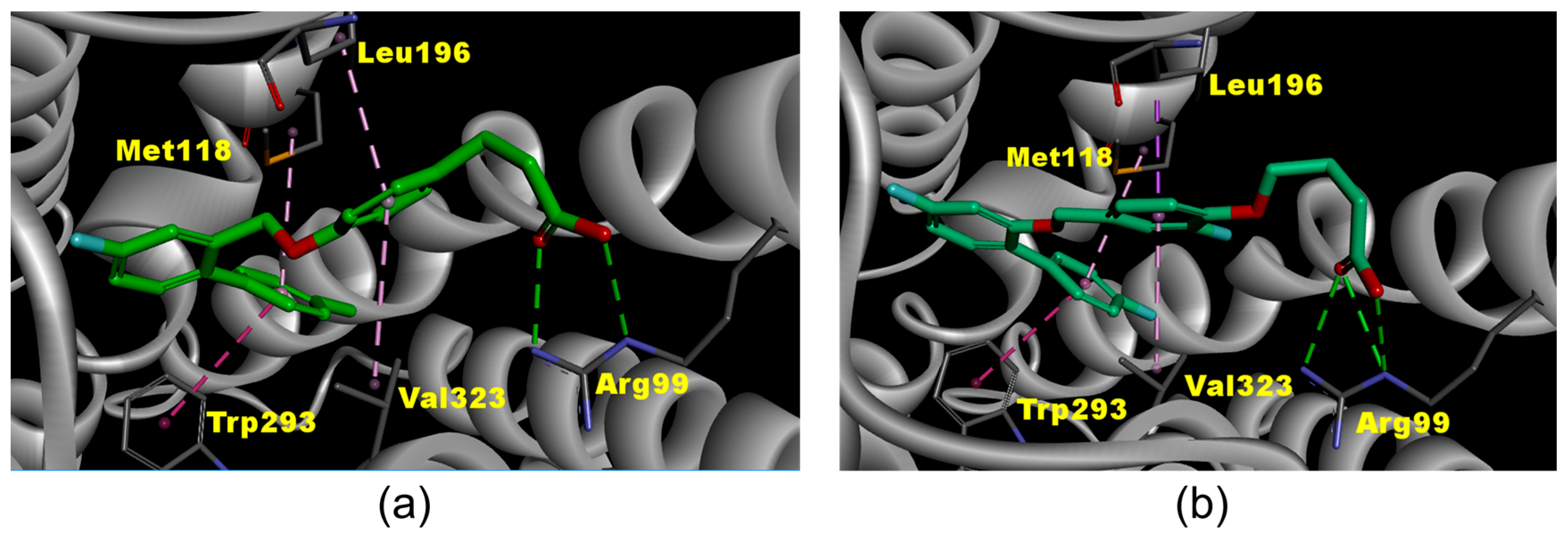 Molecules 27 09018 g005