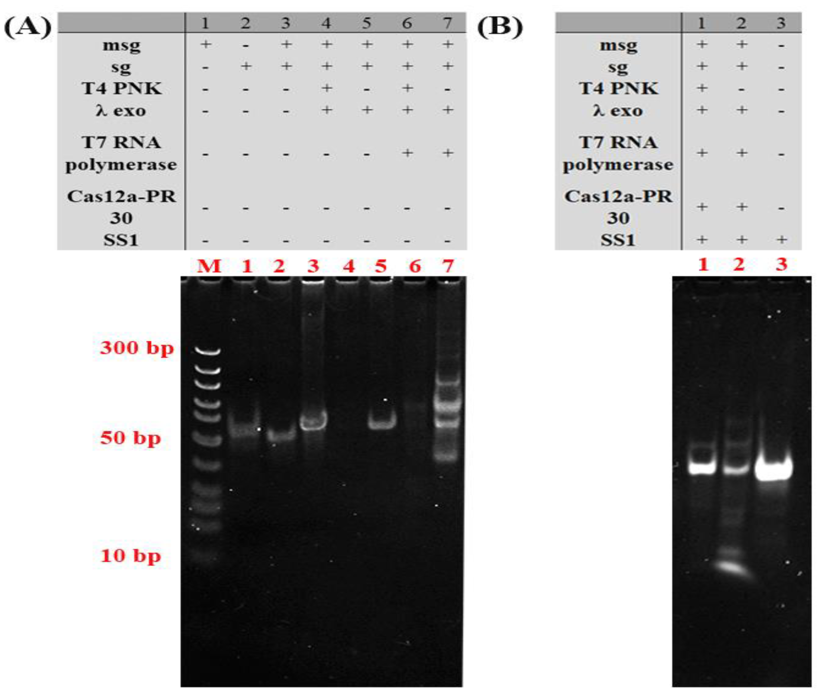 Molecules 27 09019 g003 Molecules 27 09019 g003
