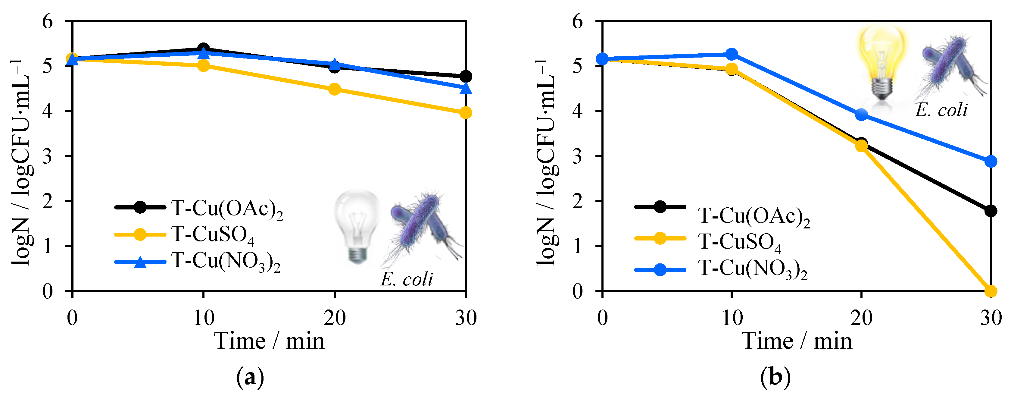 Molecules 27 09032 g011a Molecules 27 09032 g011a