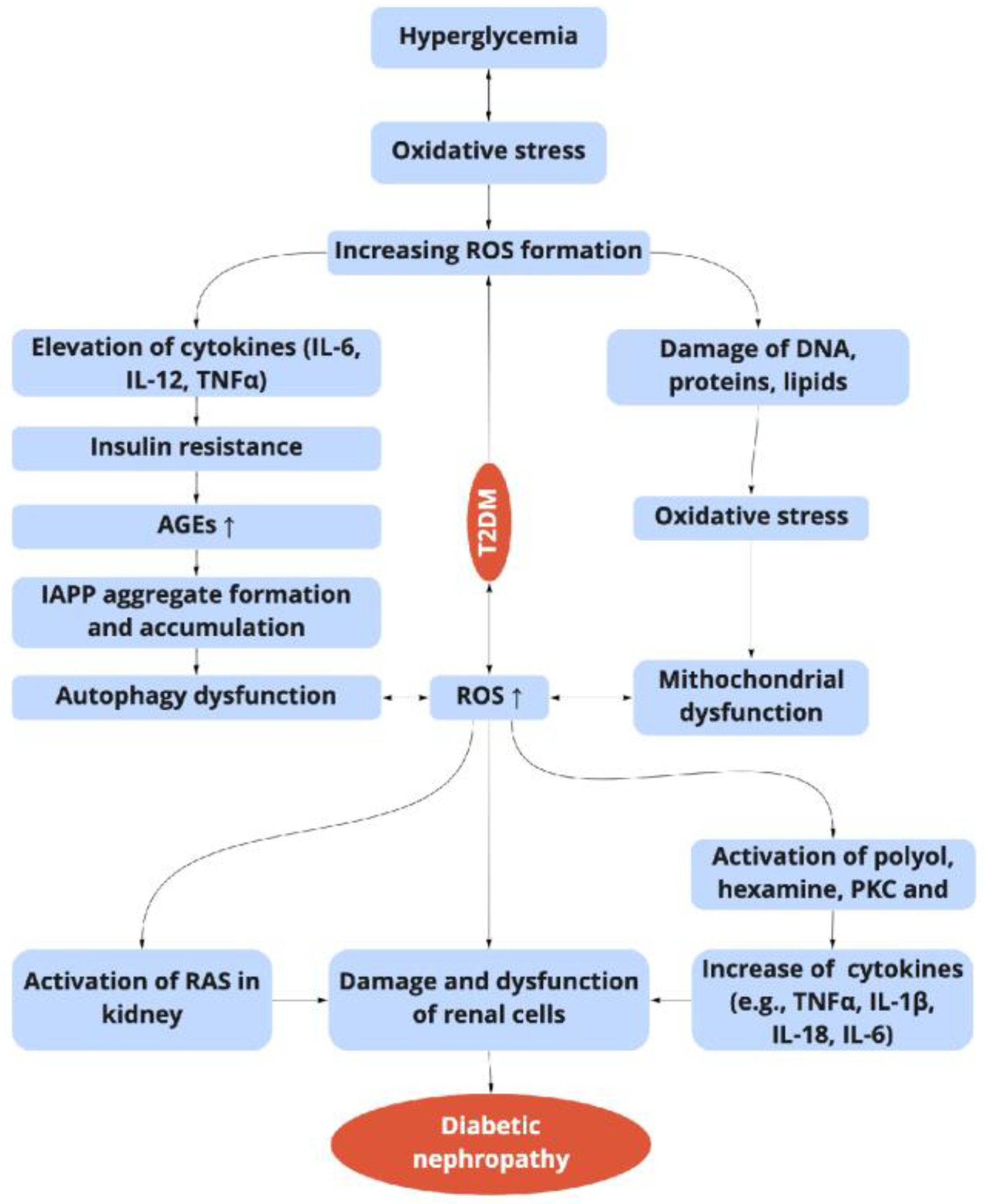 Molecules 27 09035 g002 Molecules 27 09035 g002