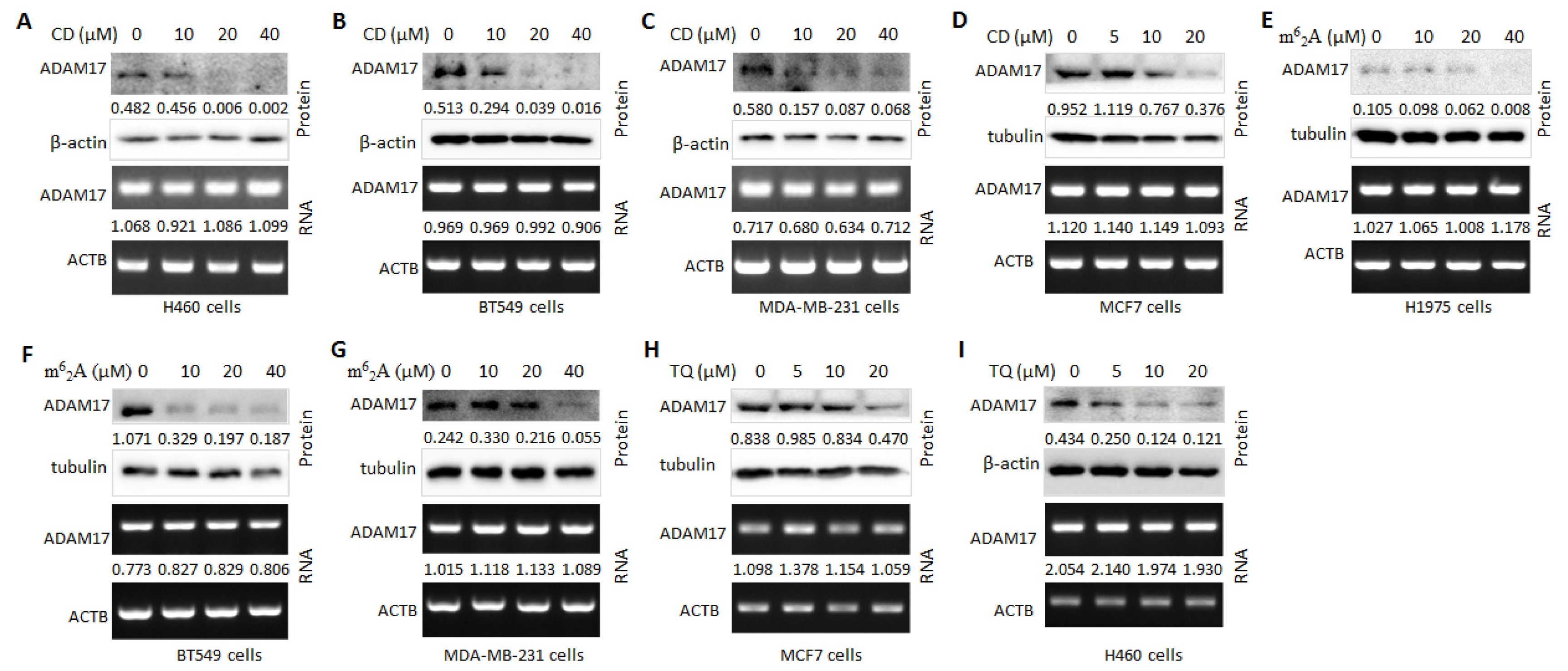 Molecules 27 09044 g002