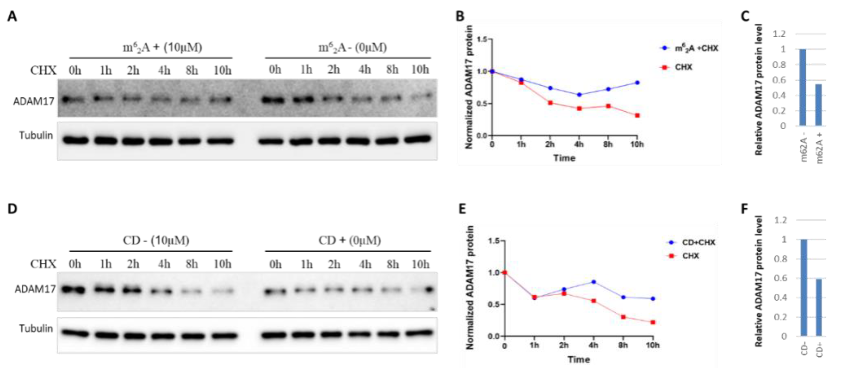 Molecules 27 09044 g003