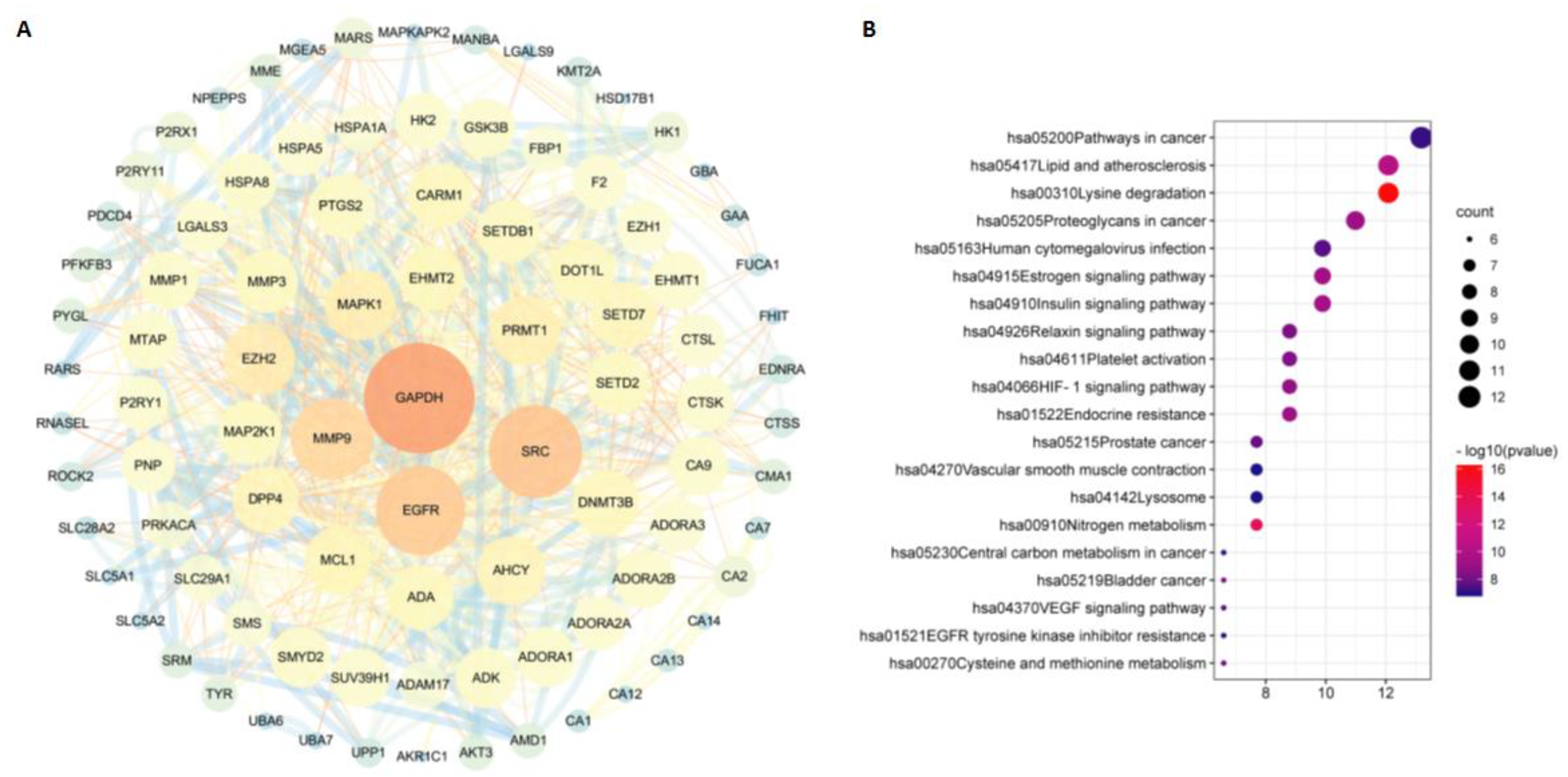 Molecules 27 09044 g004