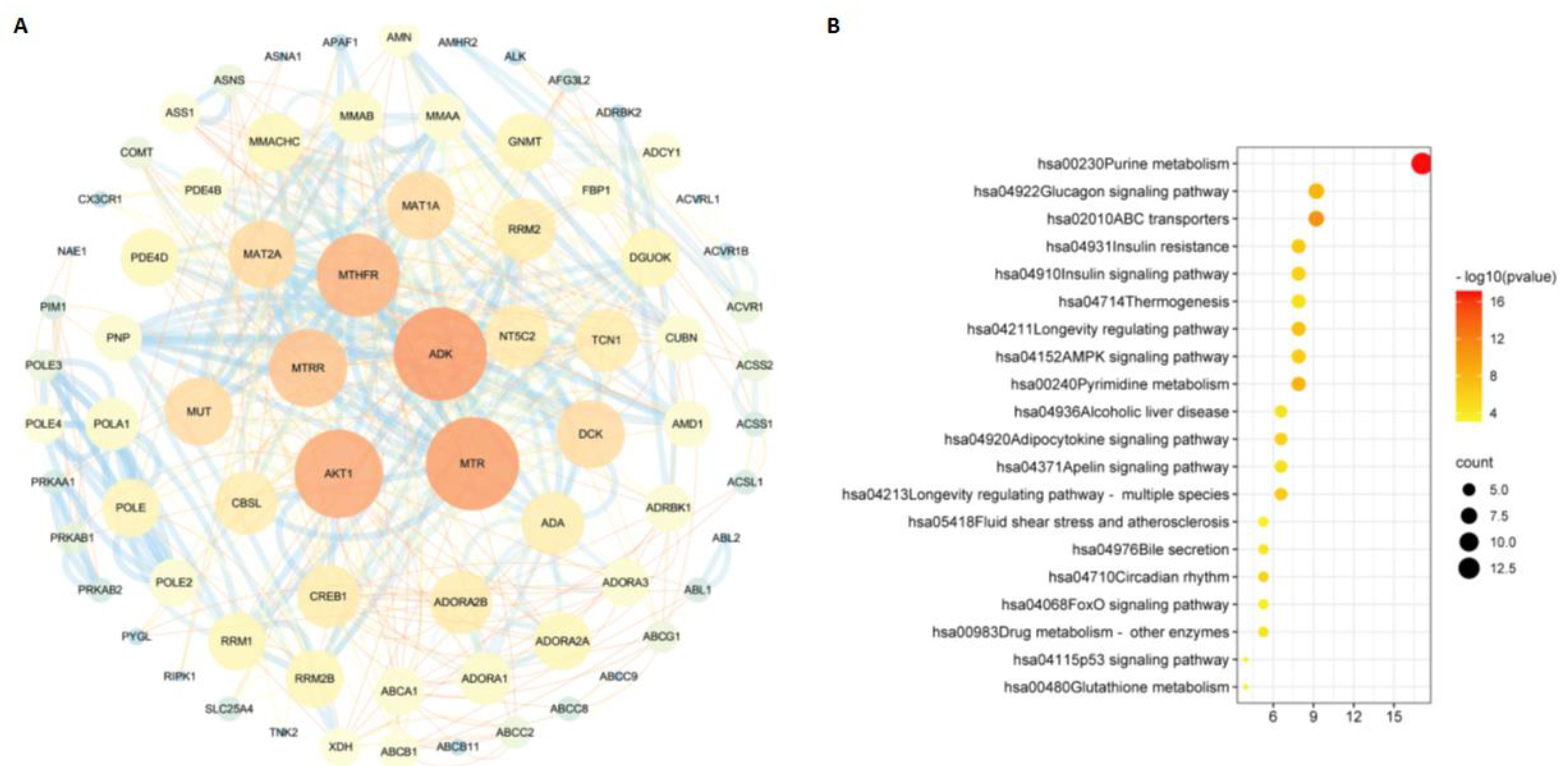Molecules 27 09044 g006