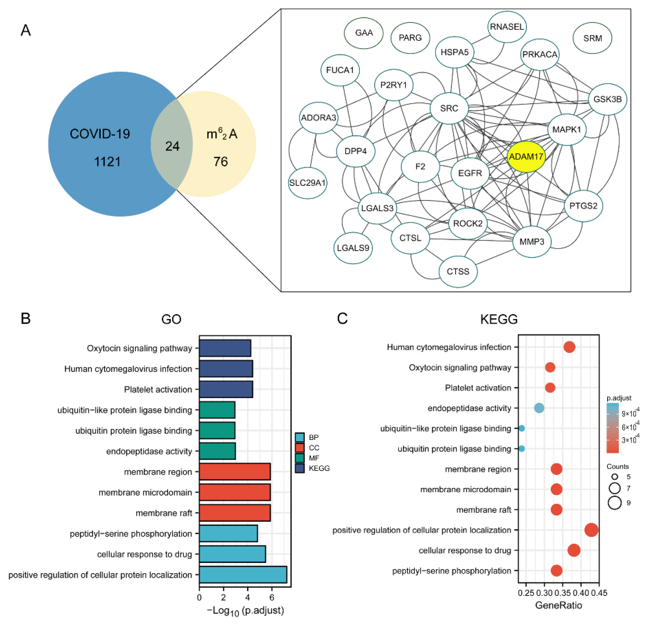Molecules 27 09044 g007
