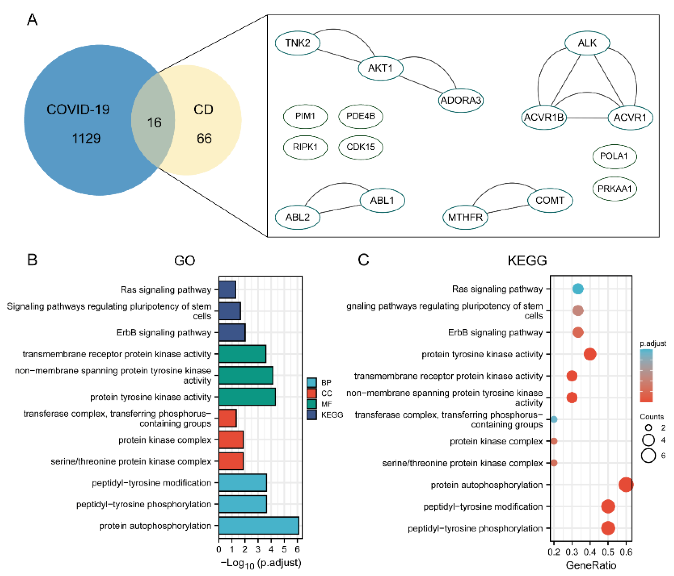 Molecules 27 09044 g009