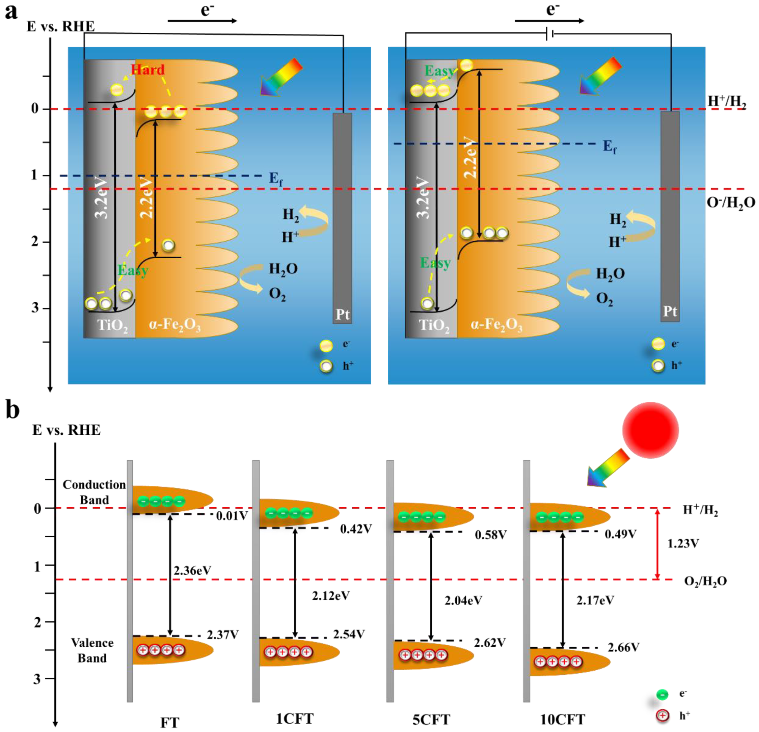 Molecules 27 09050 g005